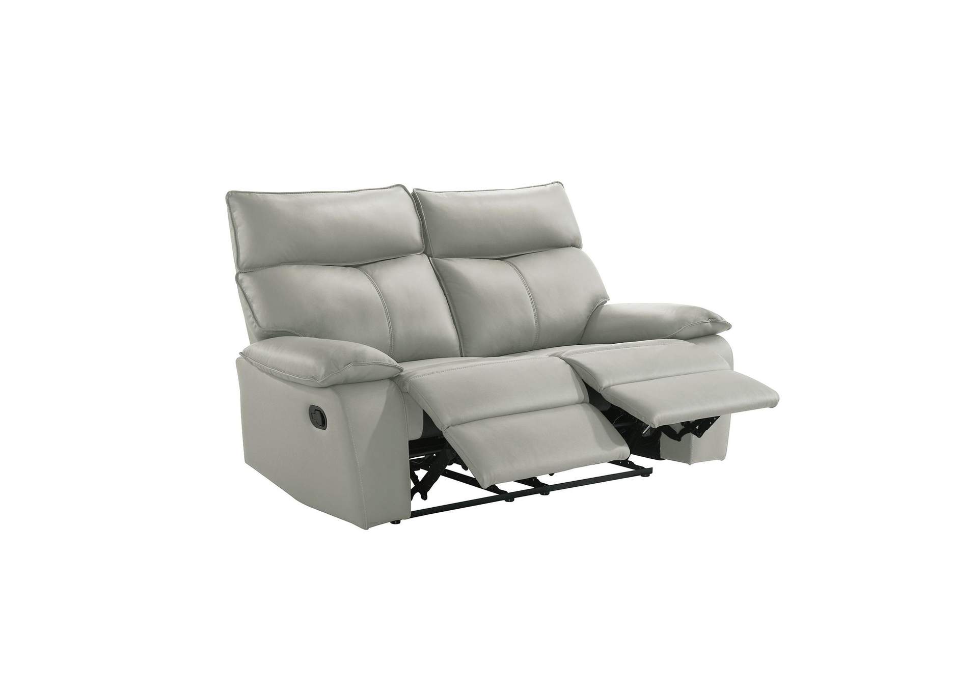 Wildcat Motion Loveseat In Aviarah Silver image 4