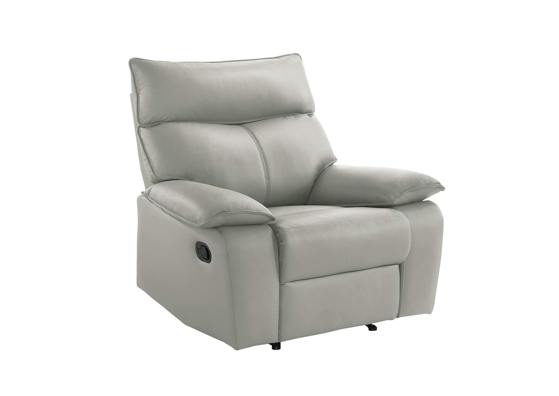 Wildcat Motion Recliner In Aviarah Silver image 4