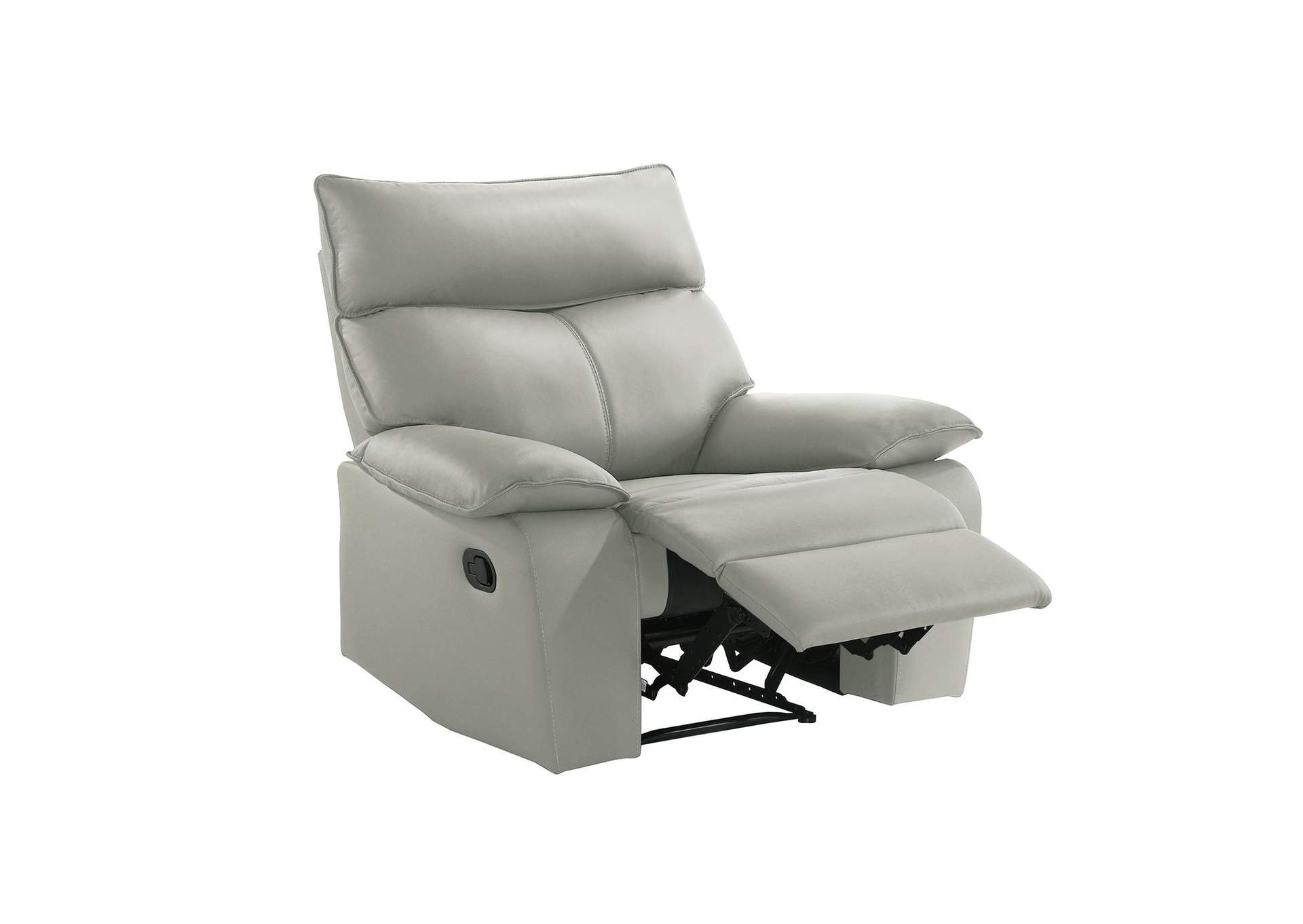Wildcat Motion Recliner In Aviarah Silver image 3