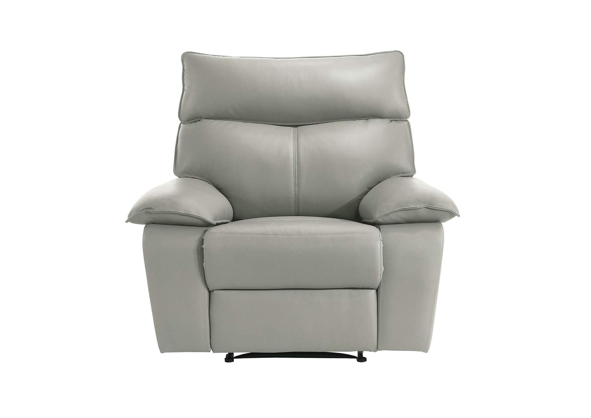 Wildcat Motion Recliner In Aviarah Silver image 5