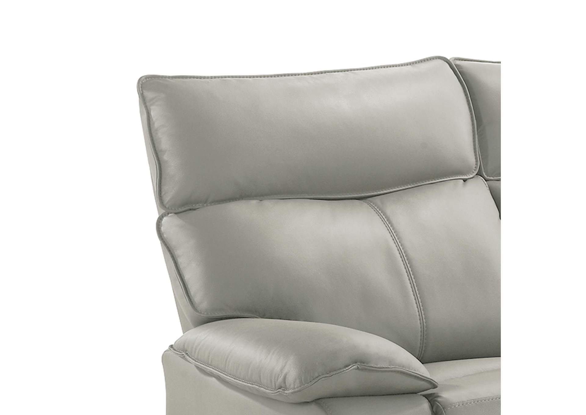 Wildcat Motion Recliner In Aviarah Silver image 6