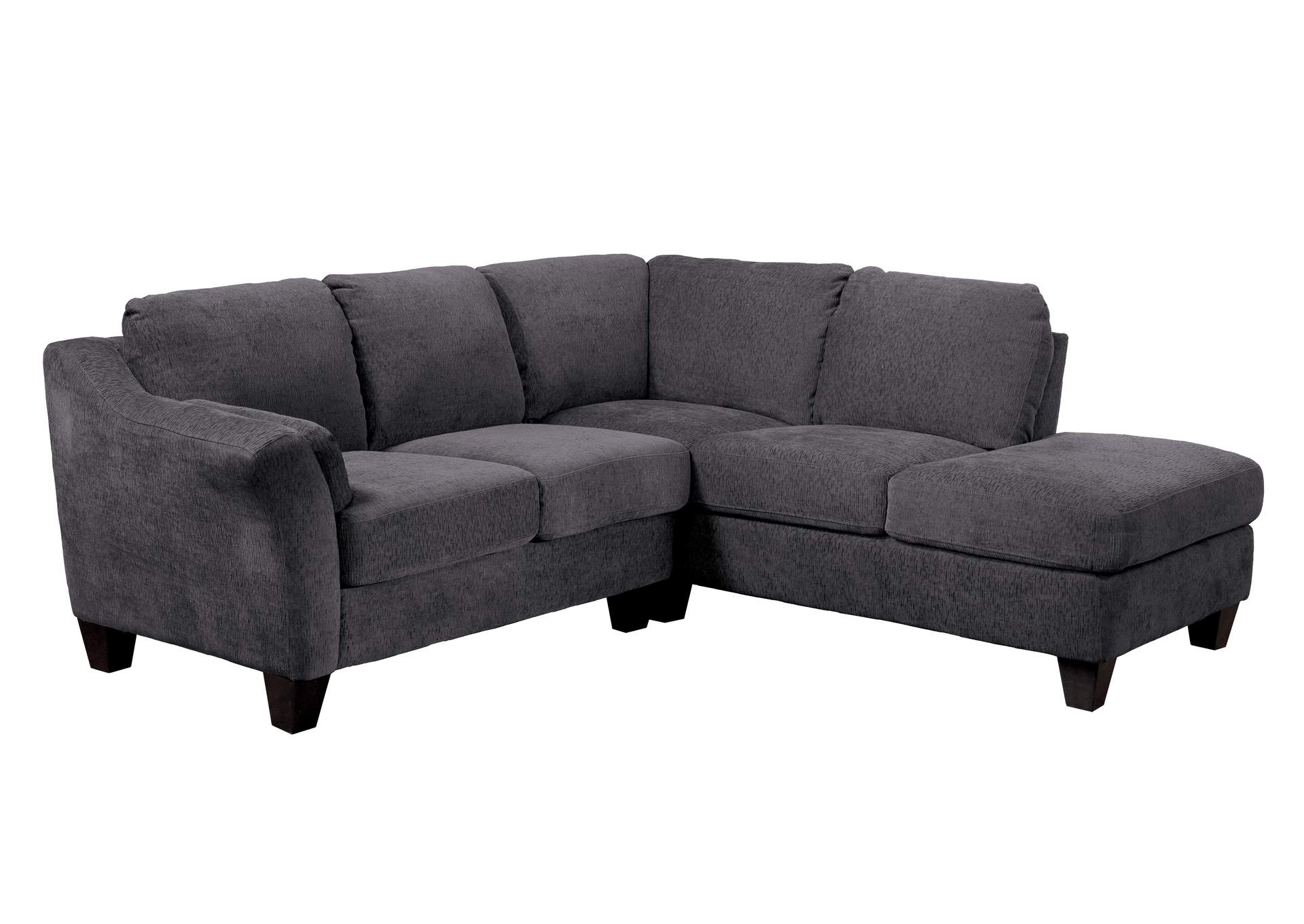 RSF sectional image 1