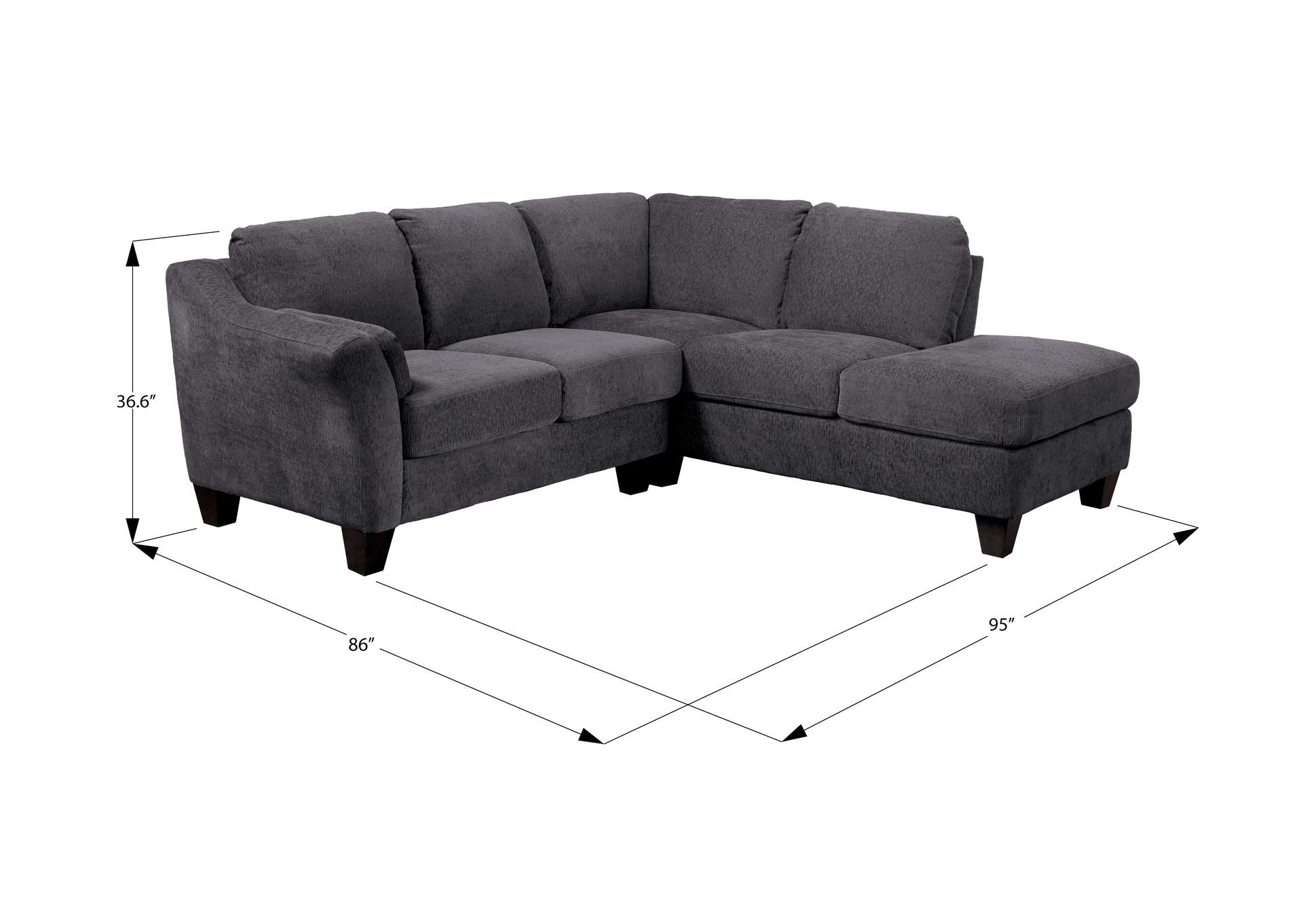 RSF sectional image 5