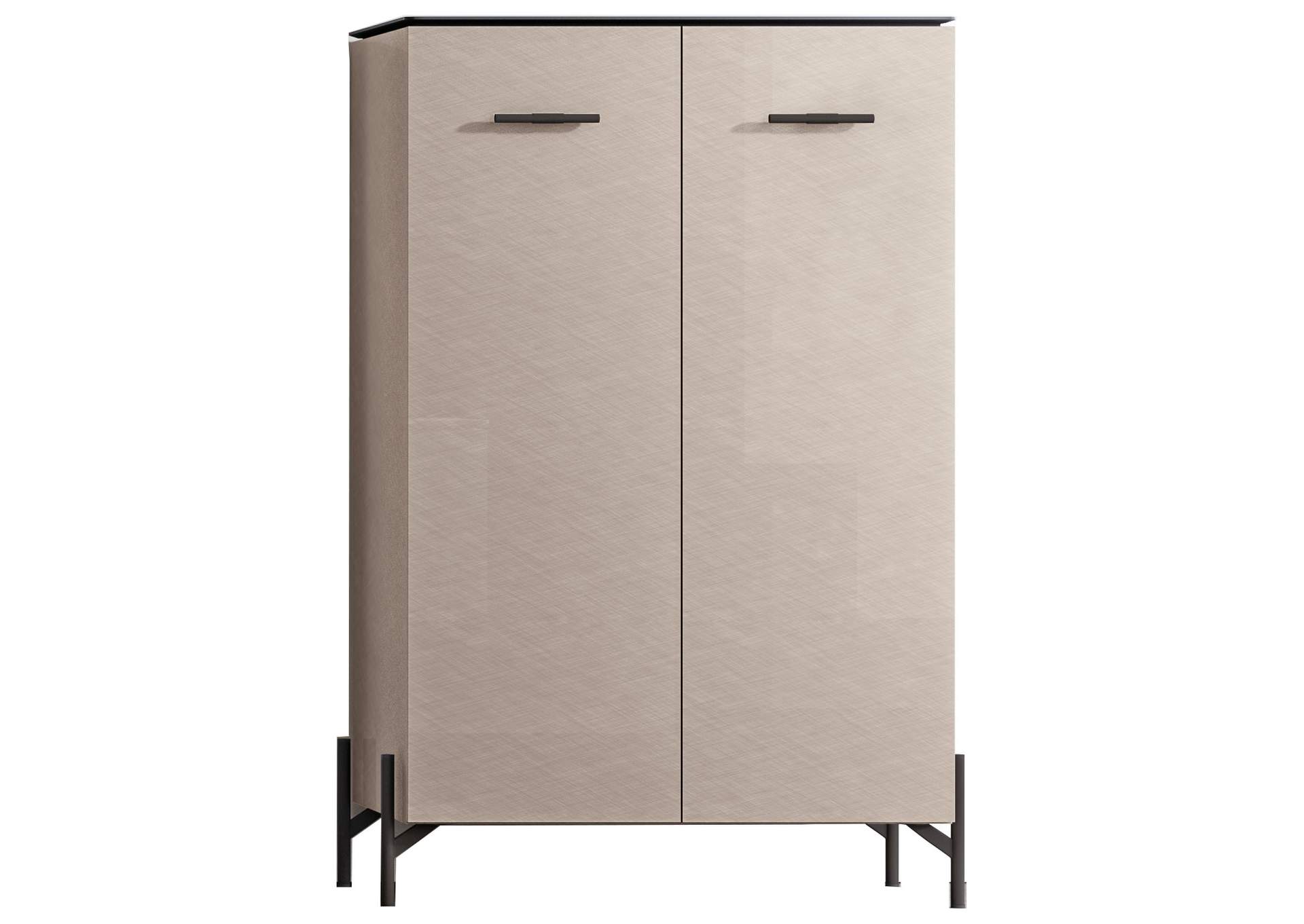 Silvia 2 Door Storage Unit image 1