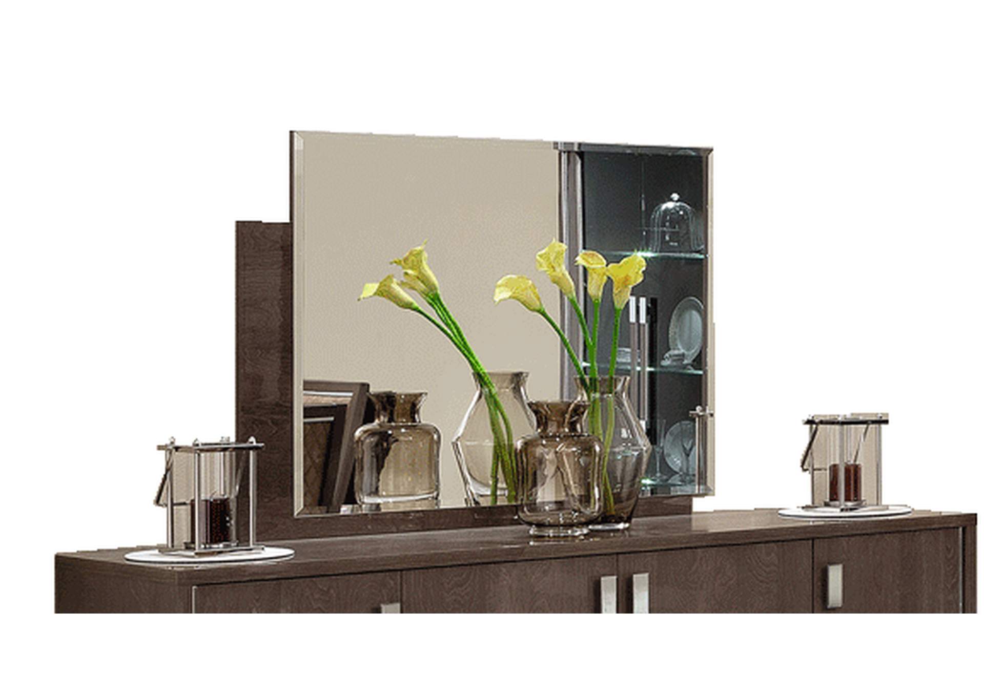 Platinum Mirror Silver Birch image 1