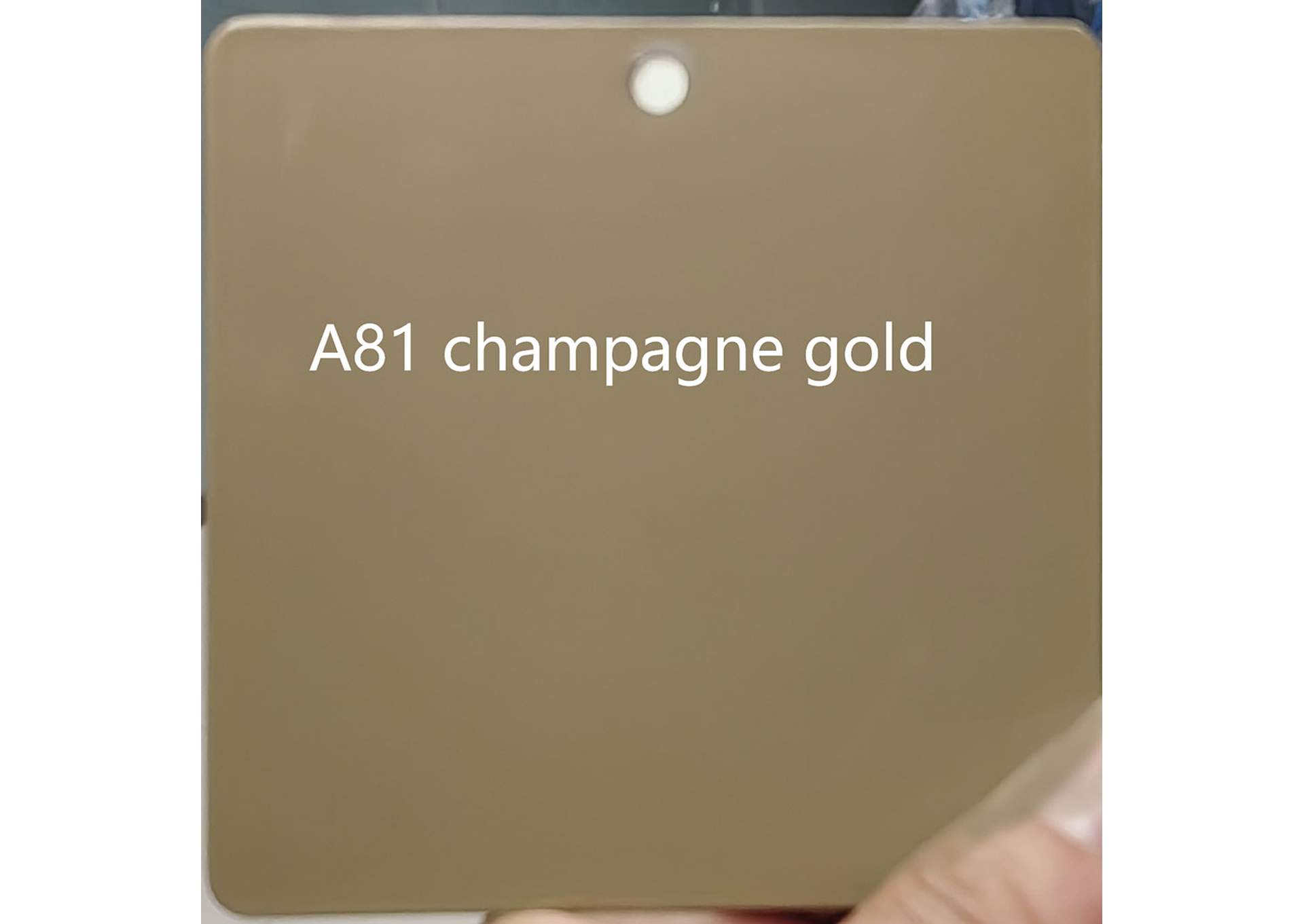 1239 Beige Champagne Chair SET image 3