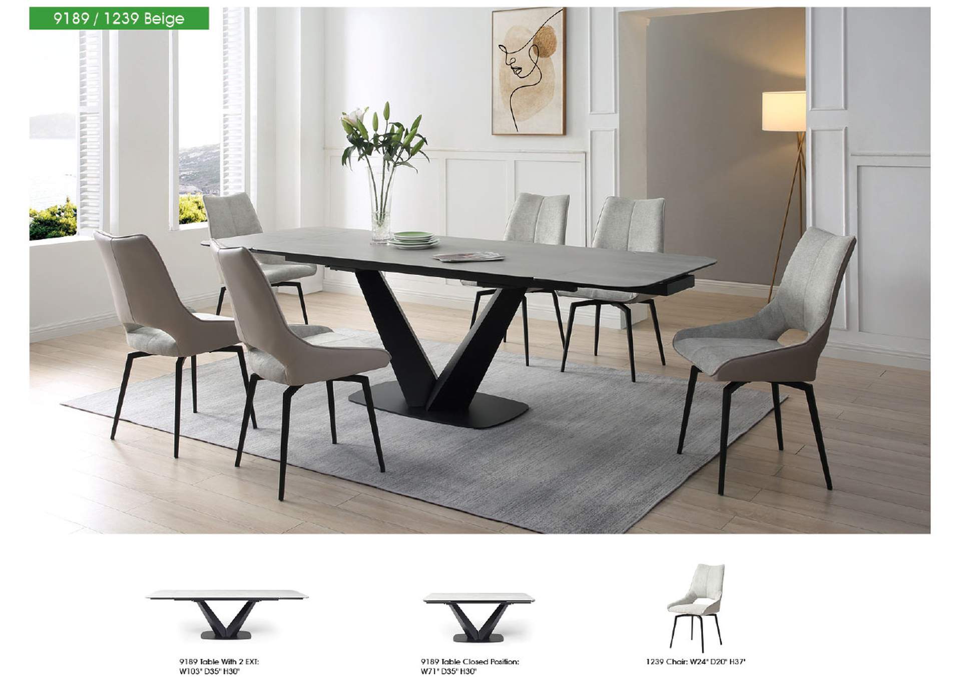 9189 Table SET image 8