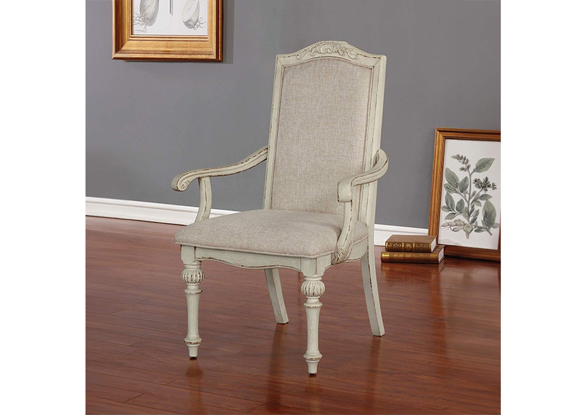 Arcadia Arm Chair image 1