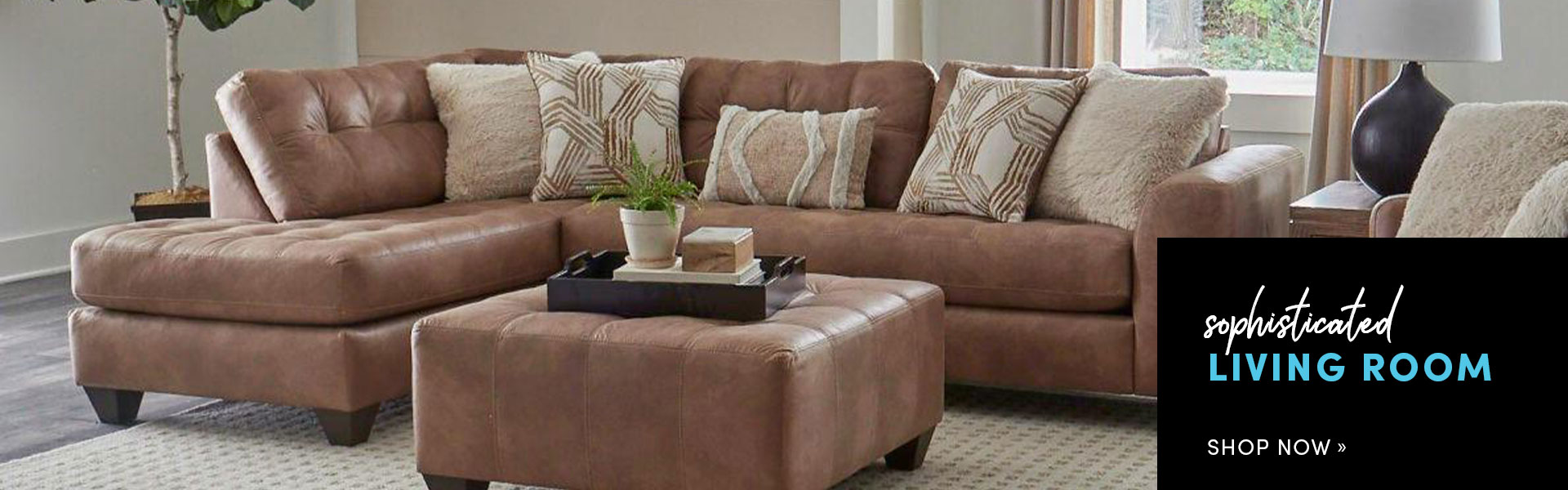 Living Room – Shop Now