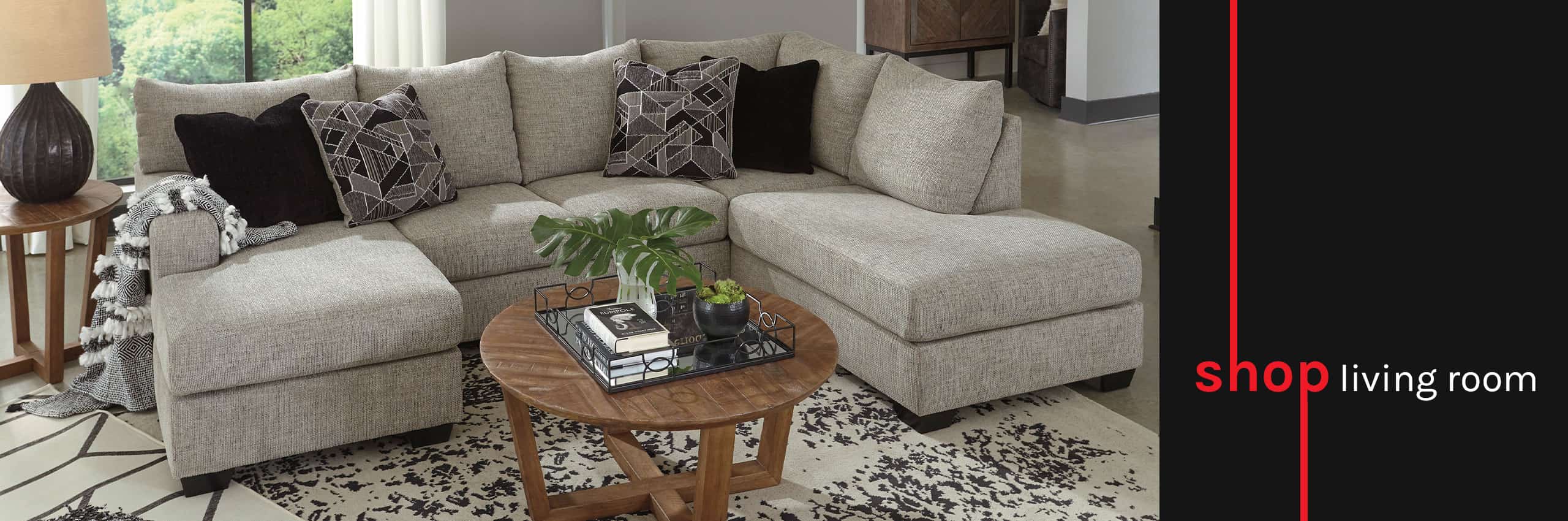 Shop Living Room
