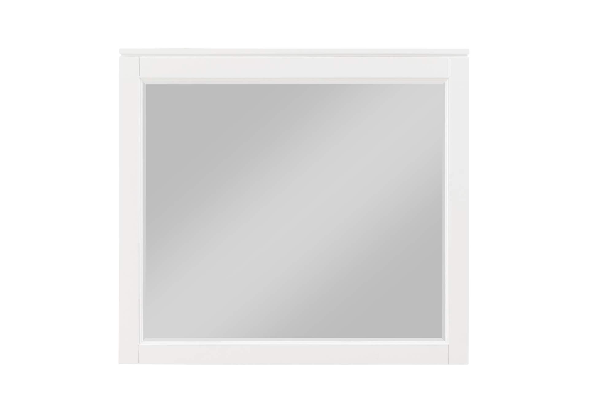 Garretson Mirror image 1