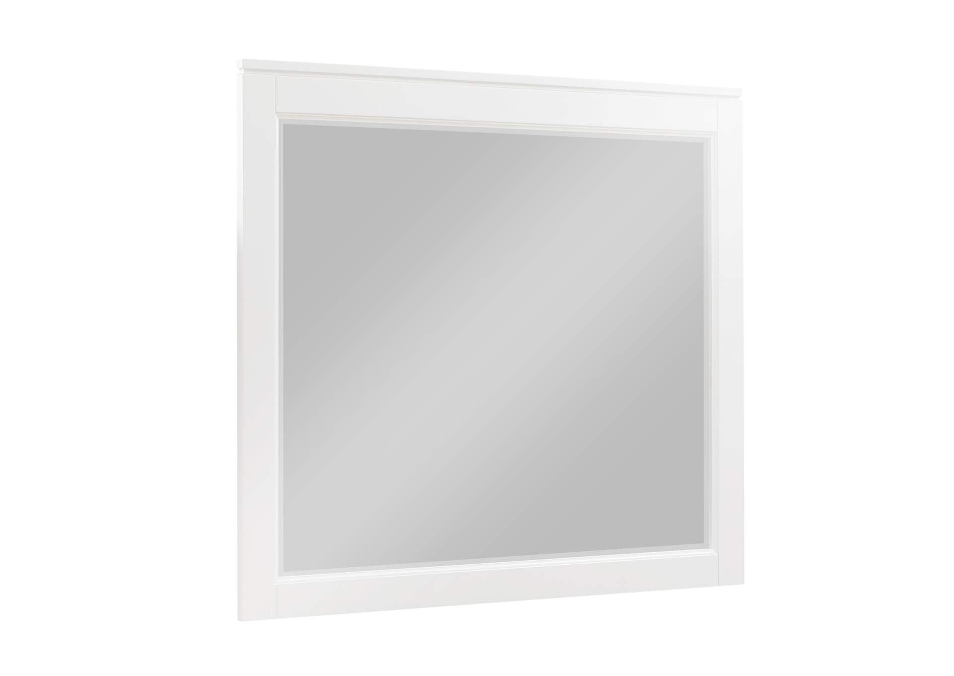 Garretson Mirror image 5