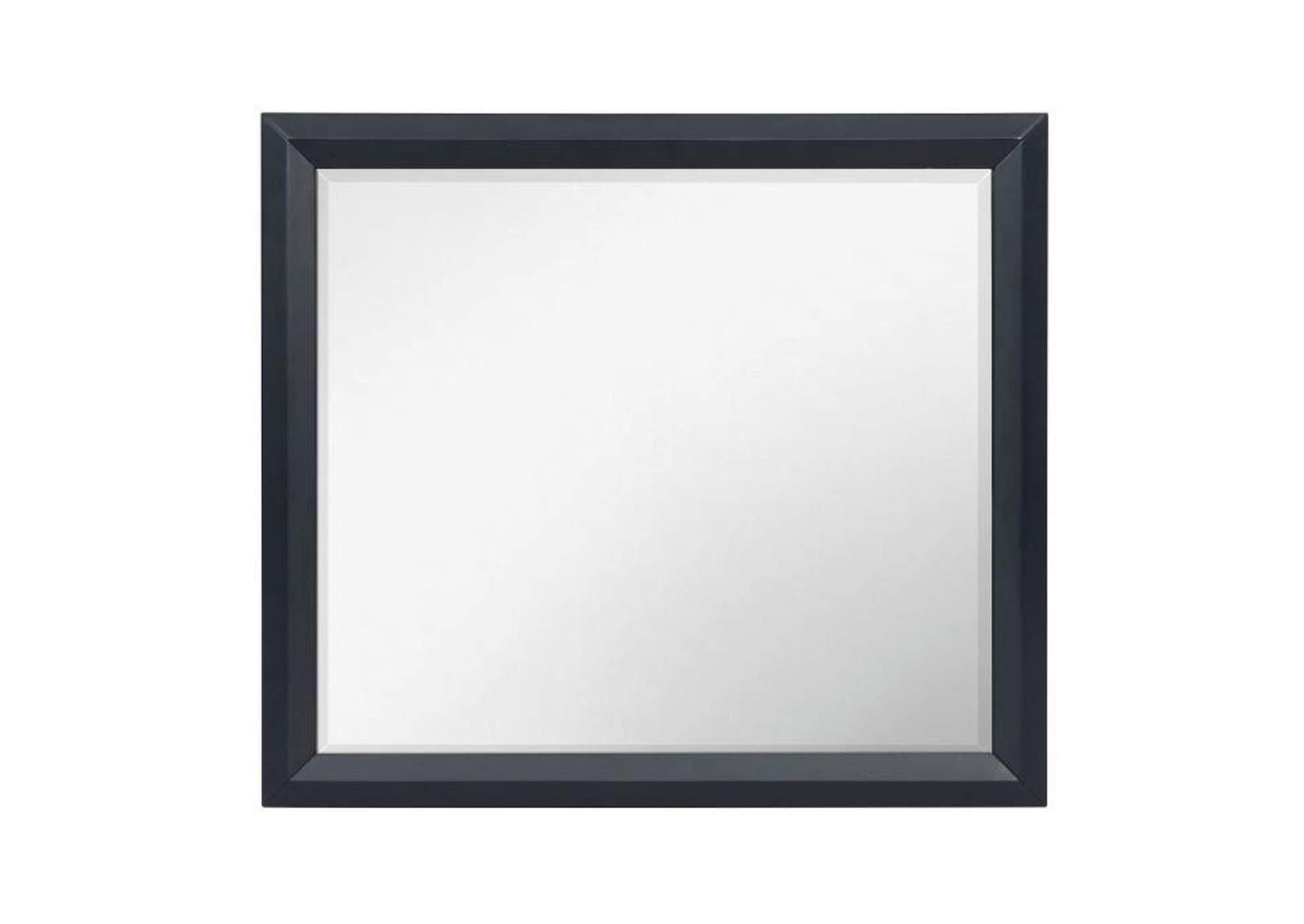 Rosemont Mirror image 1