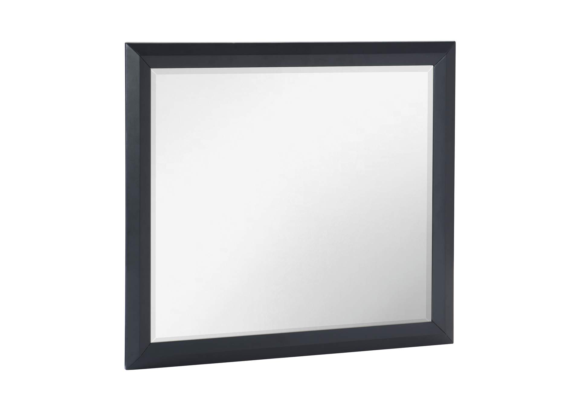 Rosemont Mirror image 3