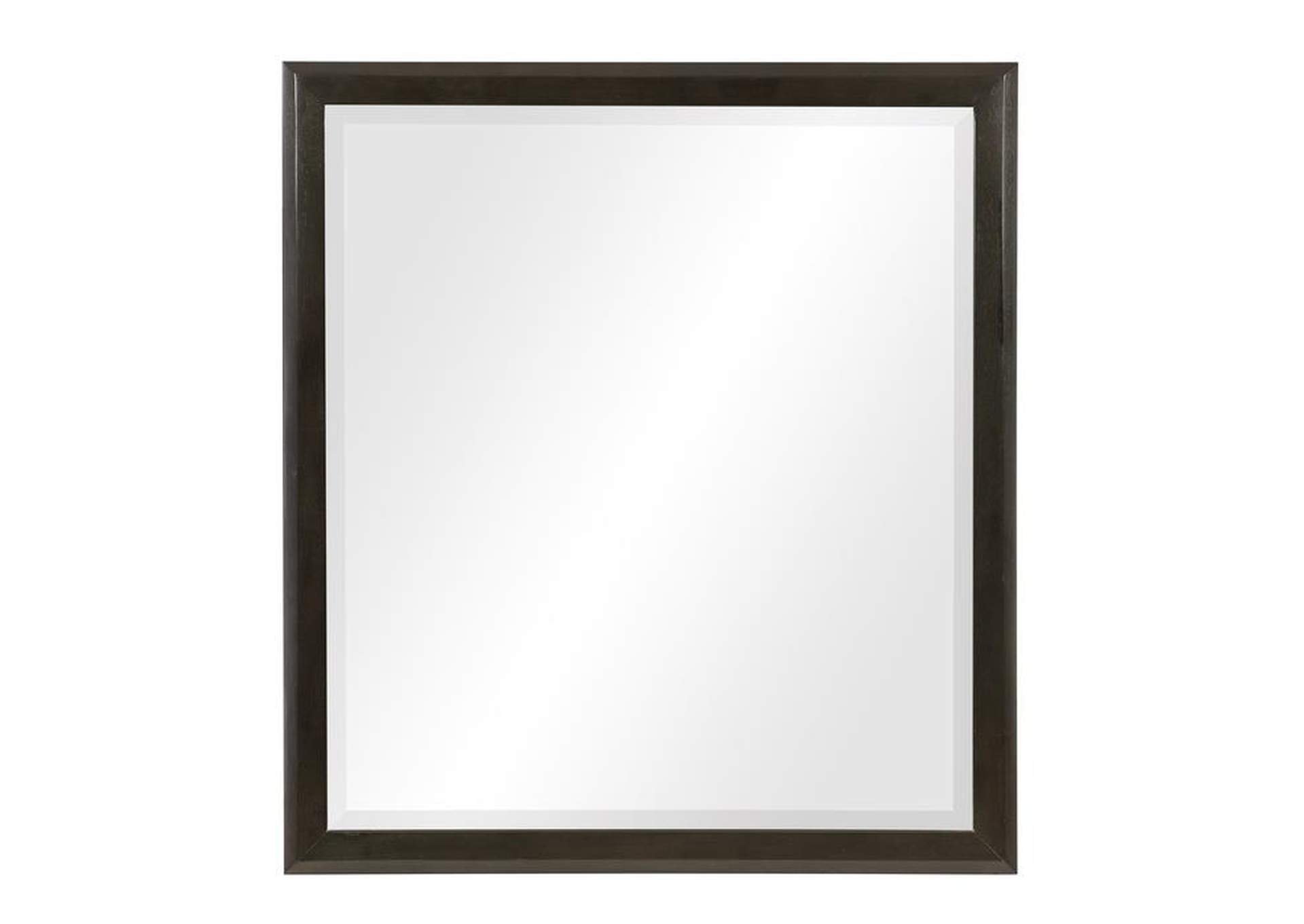 Hodgin Mirror image 1