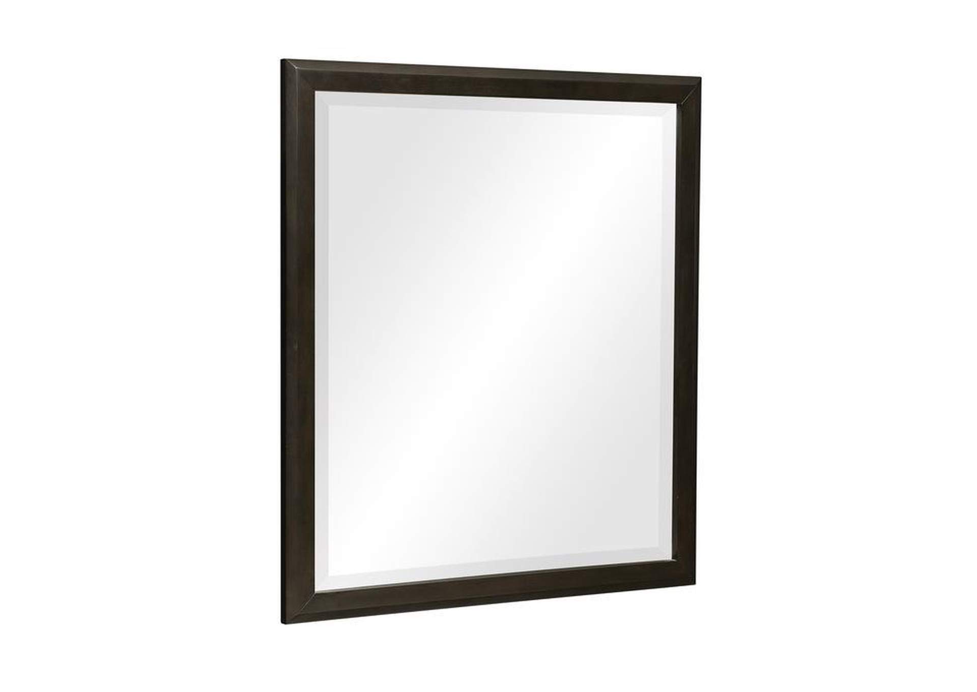 Hodgin Mirror image 3