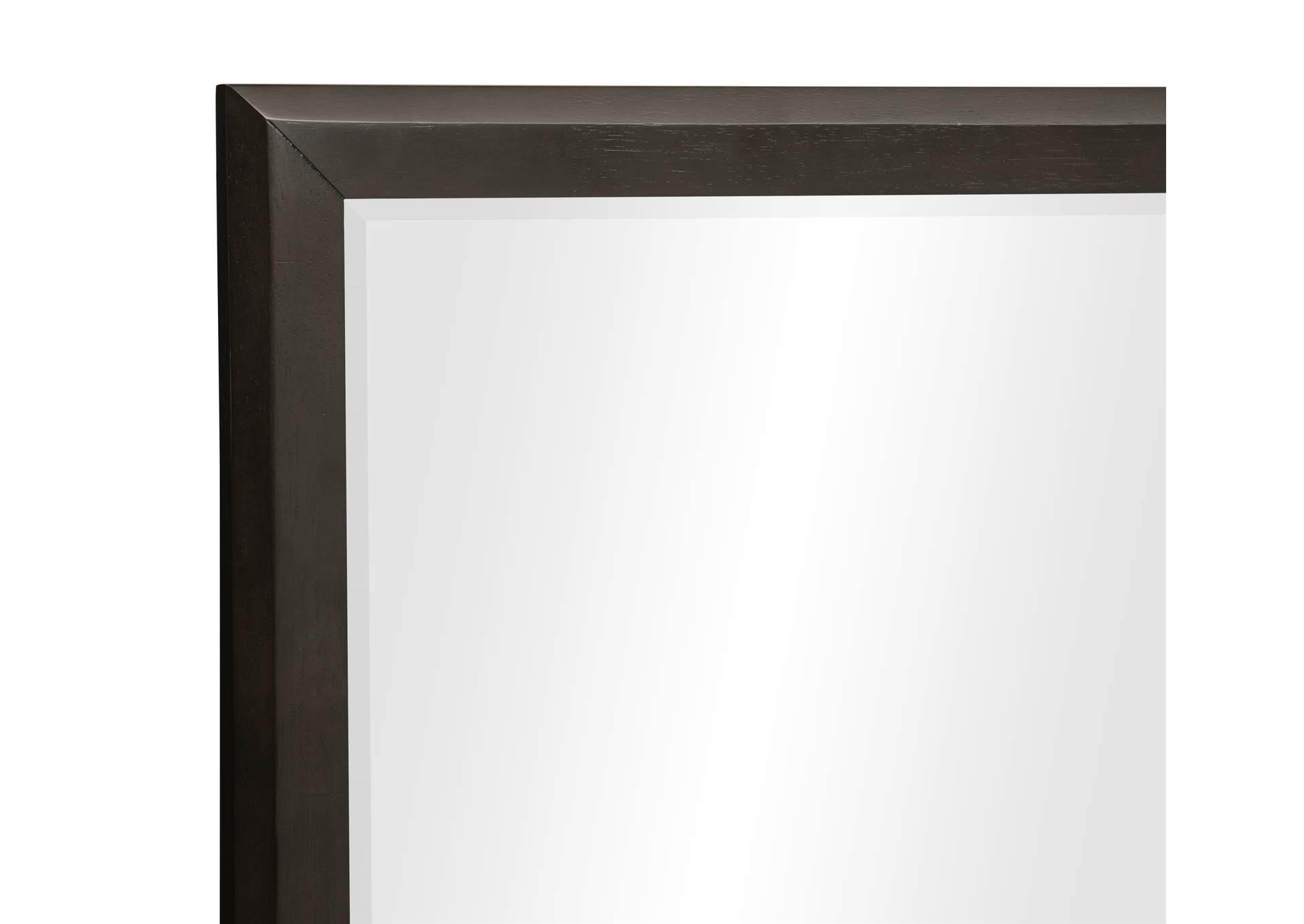 Hodgin Mirror image 3