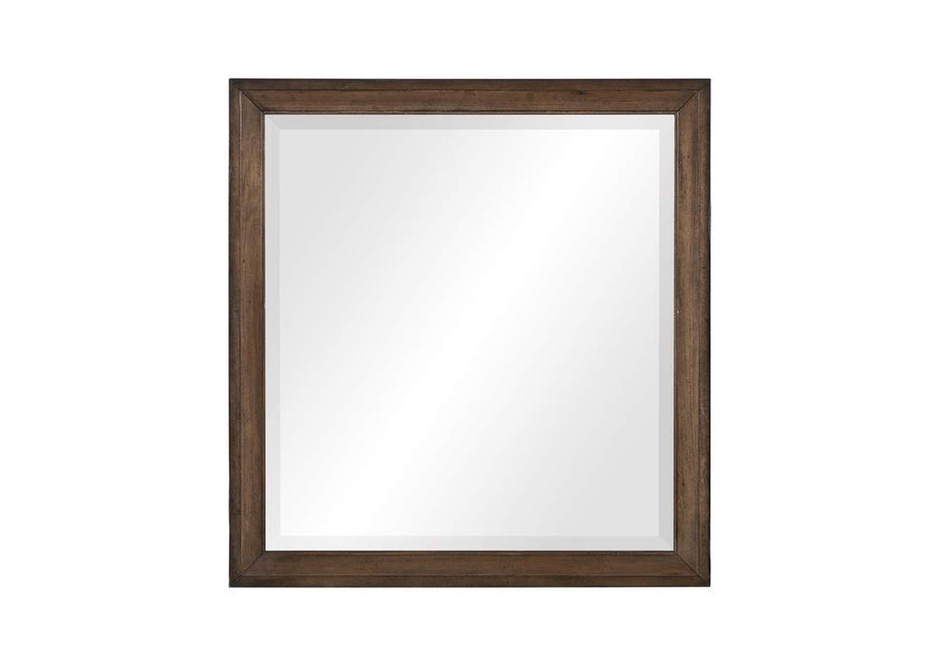 Brevard Mirror image 1