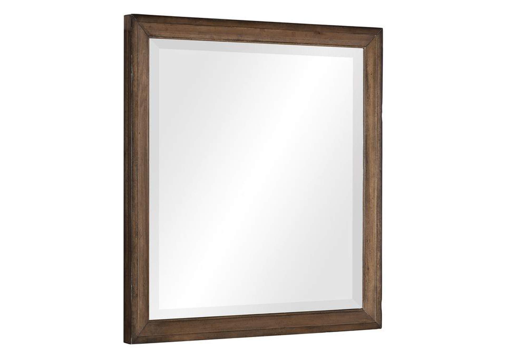 Brevard Mirror image 3