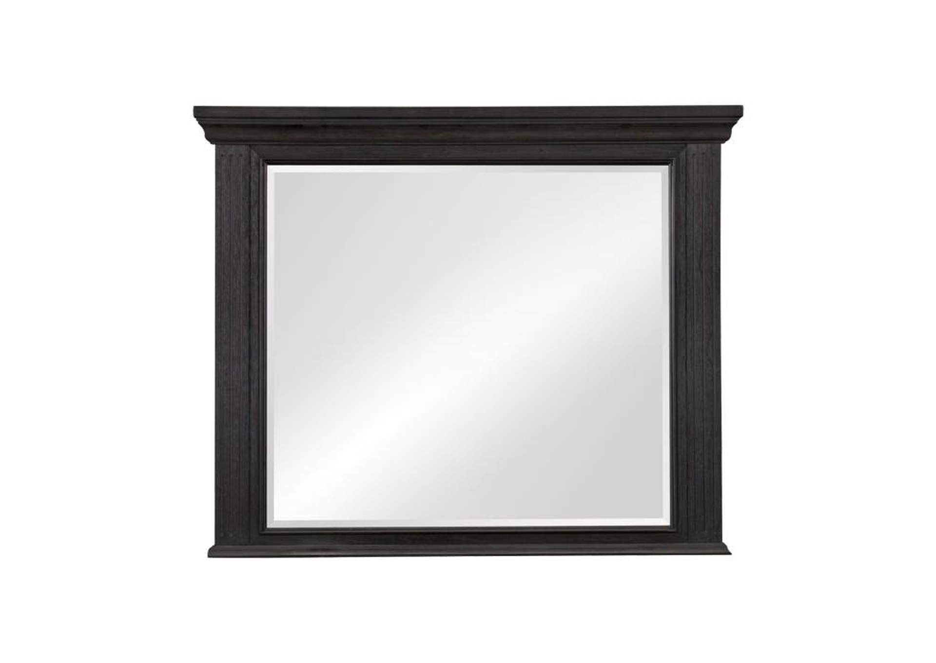 Bolingbrook Mirror image 1