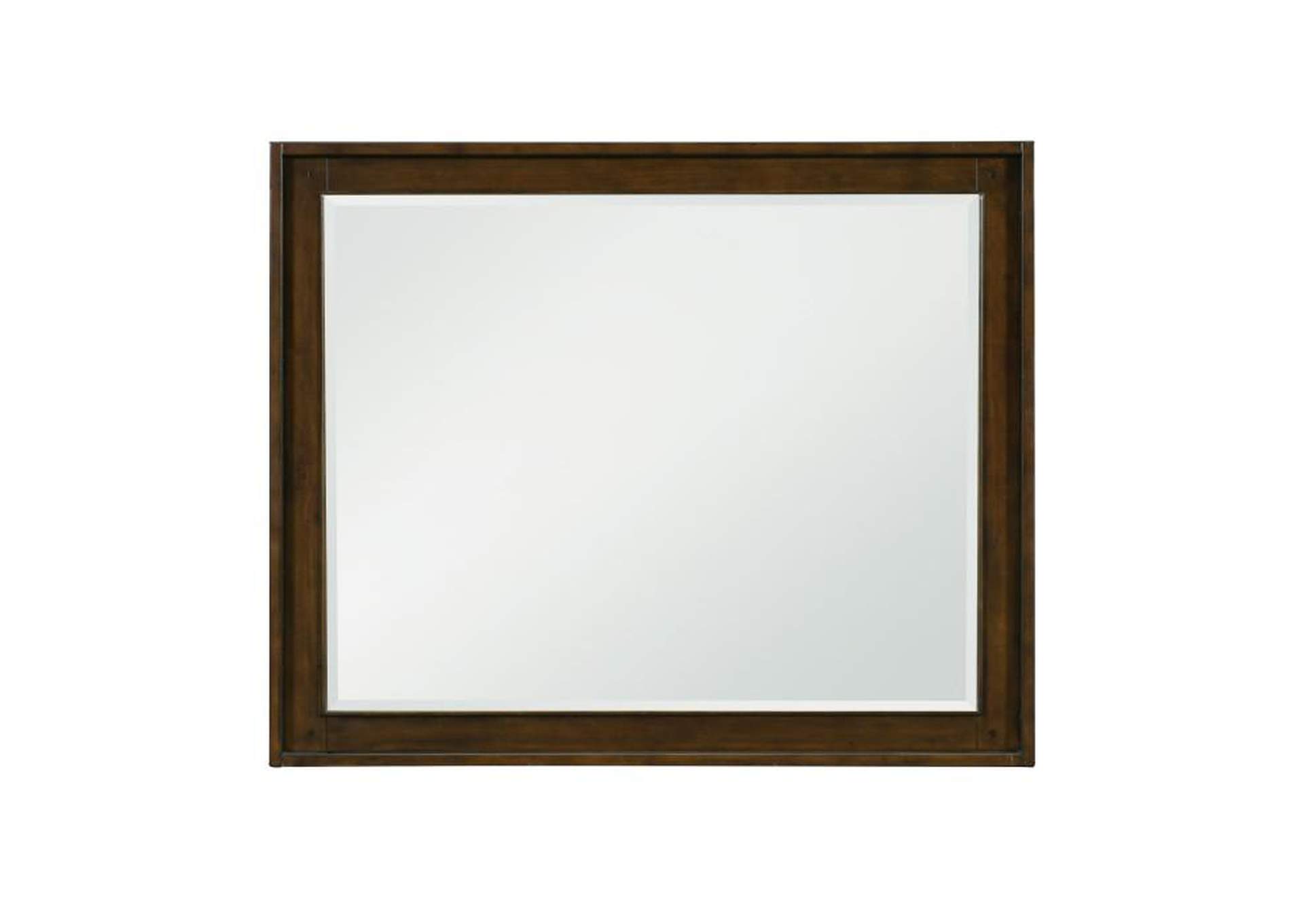 Park Mirror image 1