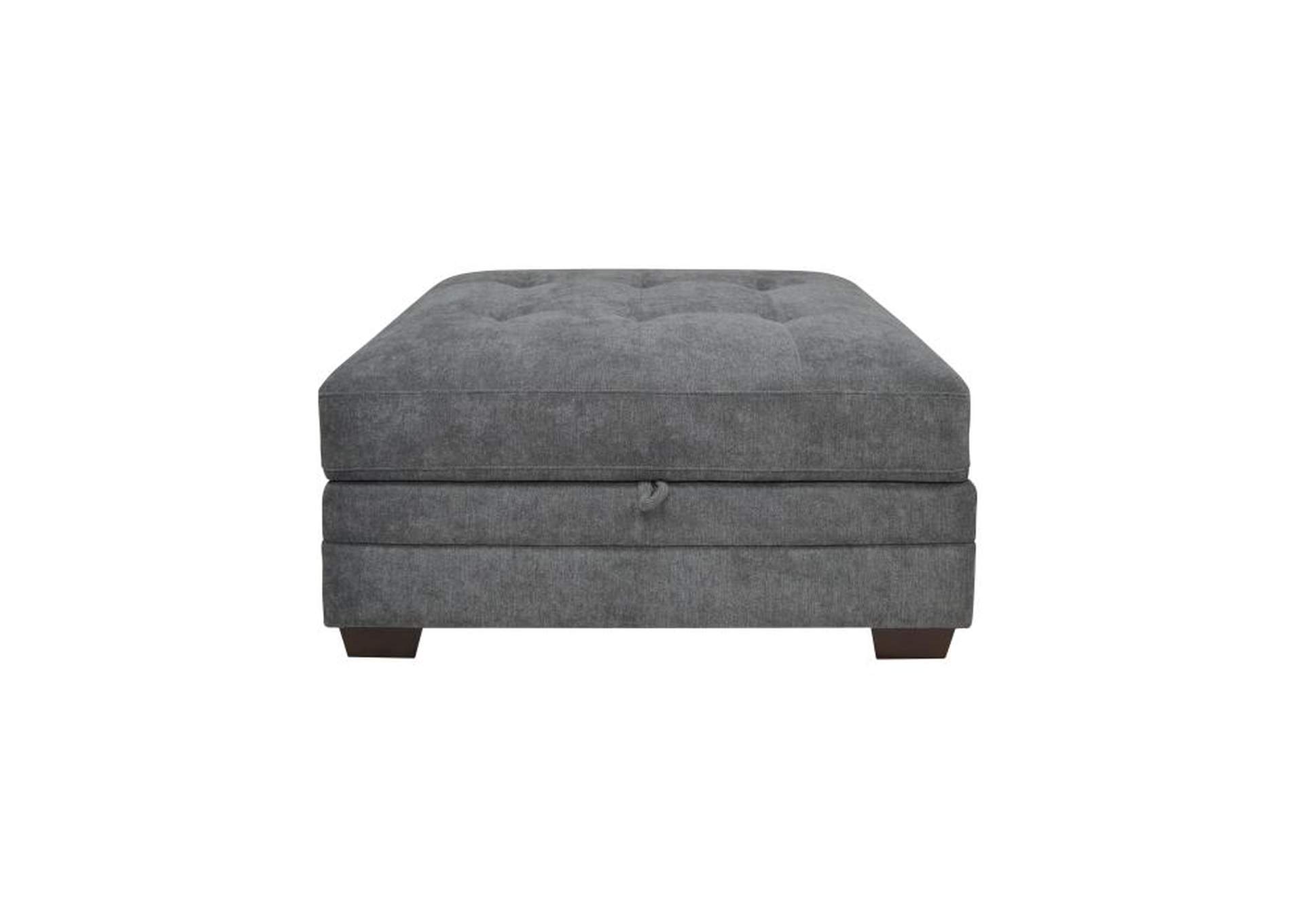 Sidney Storage Ottoman image 1