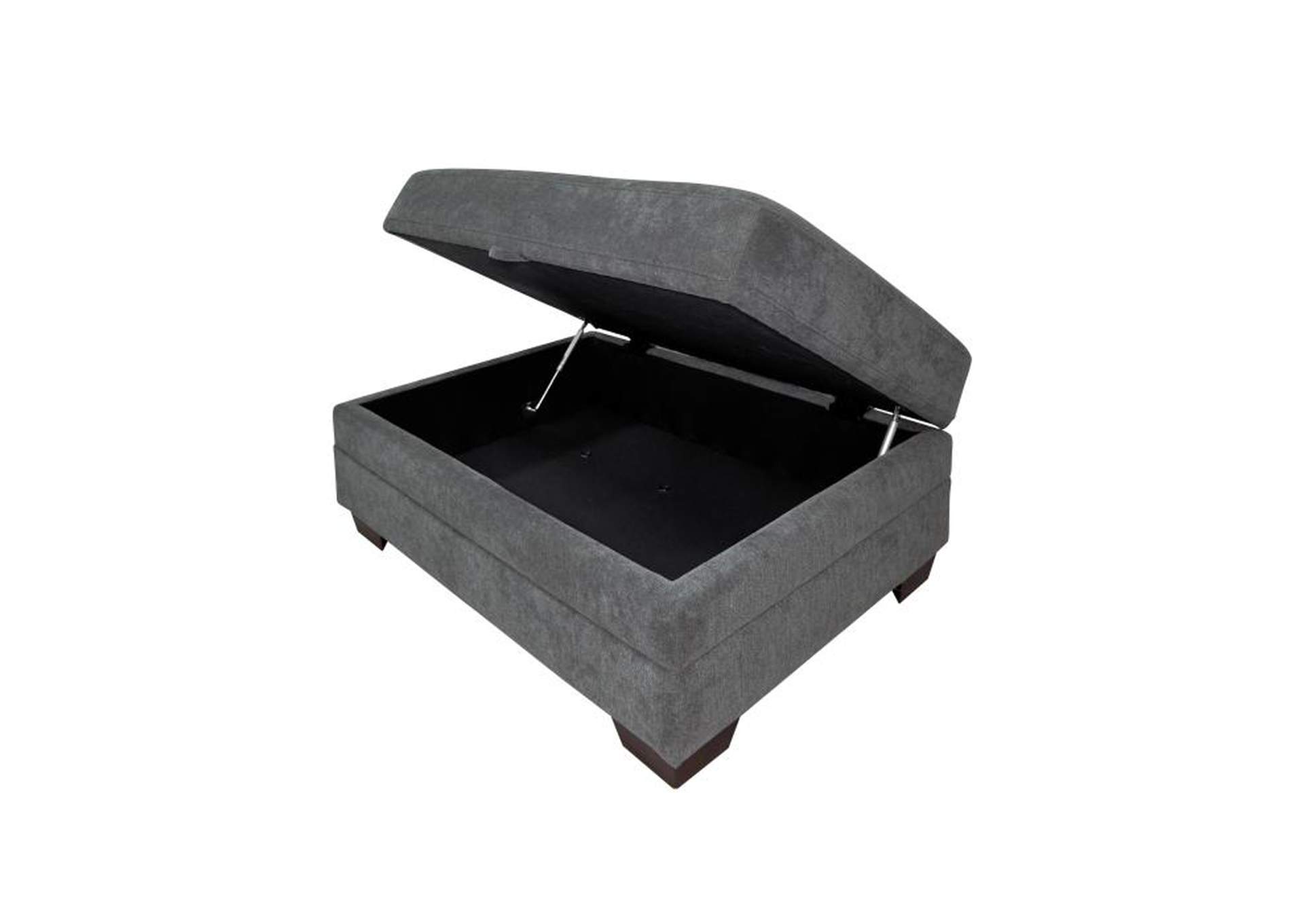 Sidney Storage Ottoman image 4