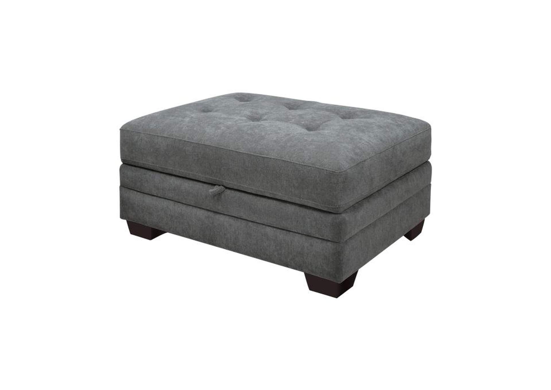 Sidney Storage Ottoman image 7