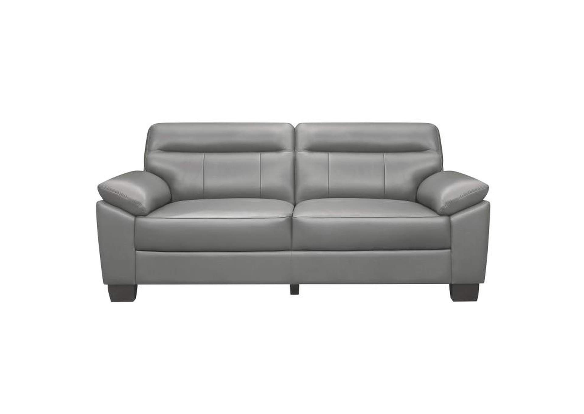Denizen Sofa image 1