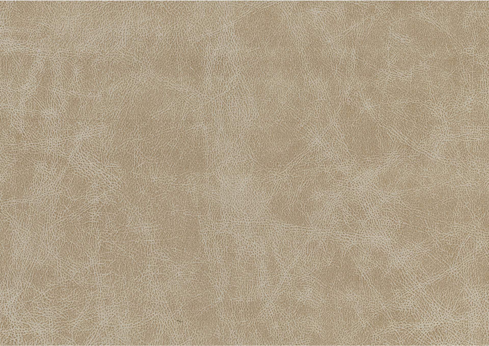 Cazon Sofa image 4