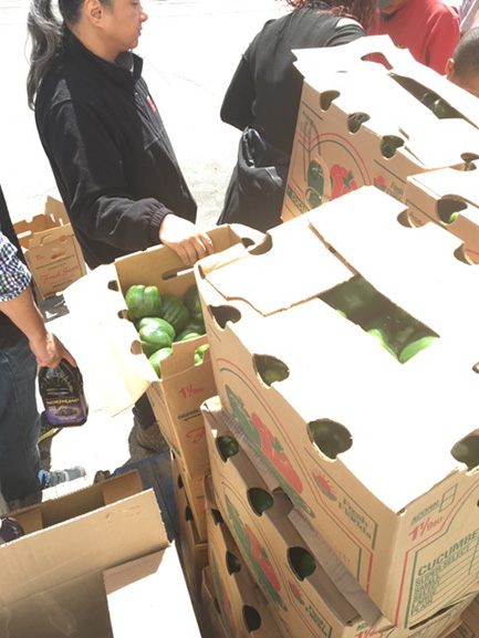 Make a Difference - Packing Vegetables