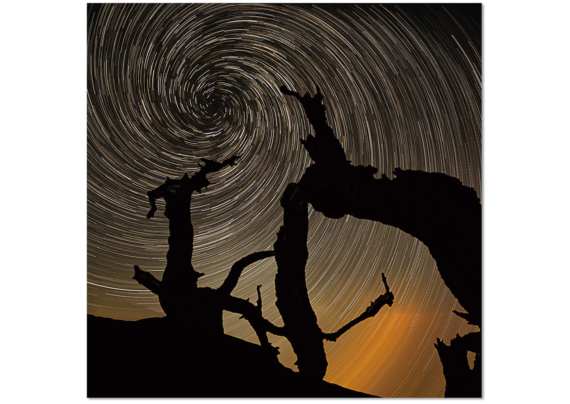 Wall Art Aurora image 1