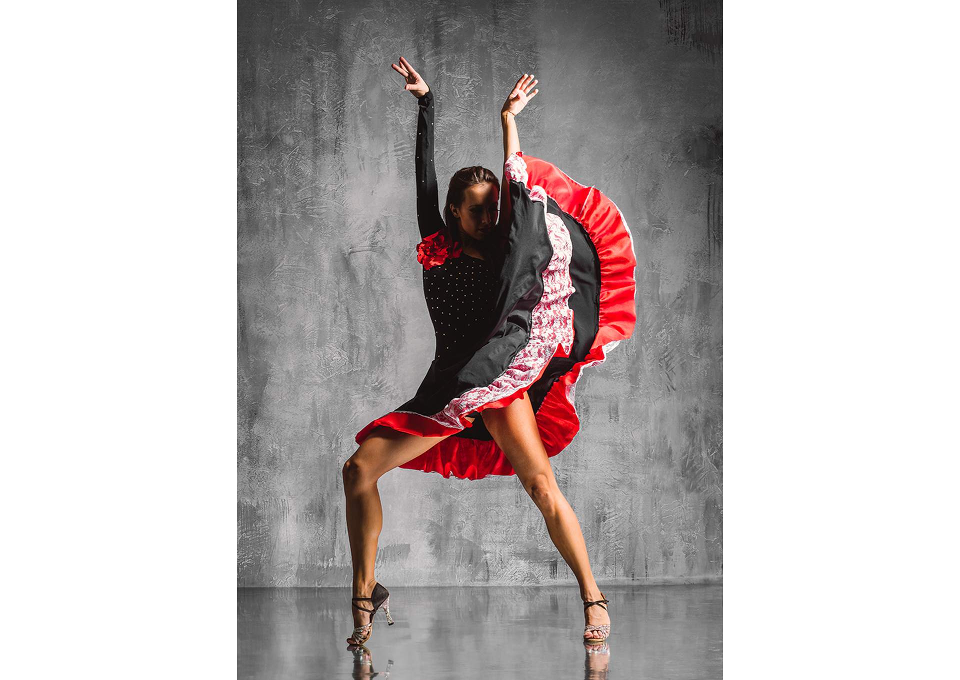 Wall Art Flamenco image 1