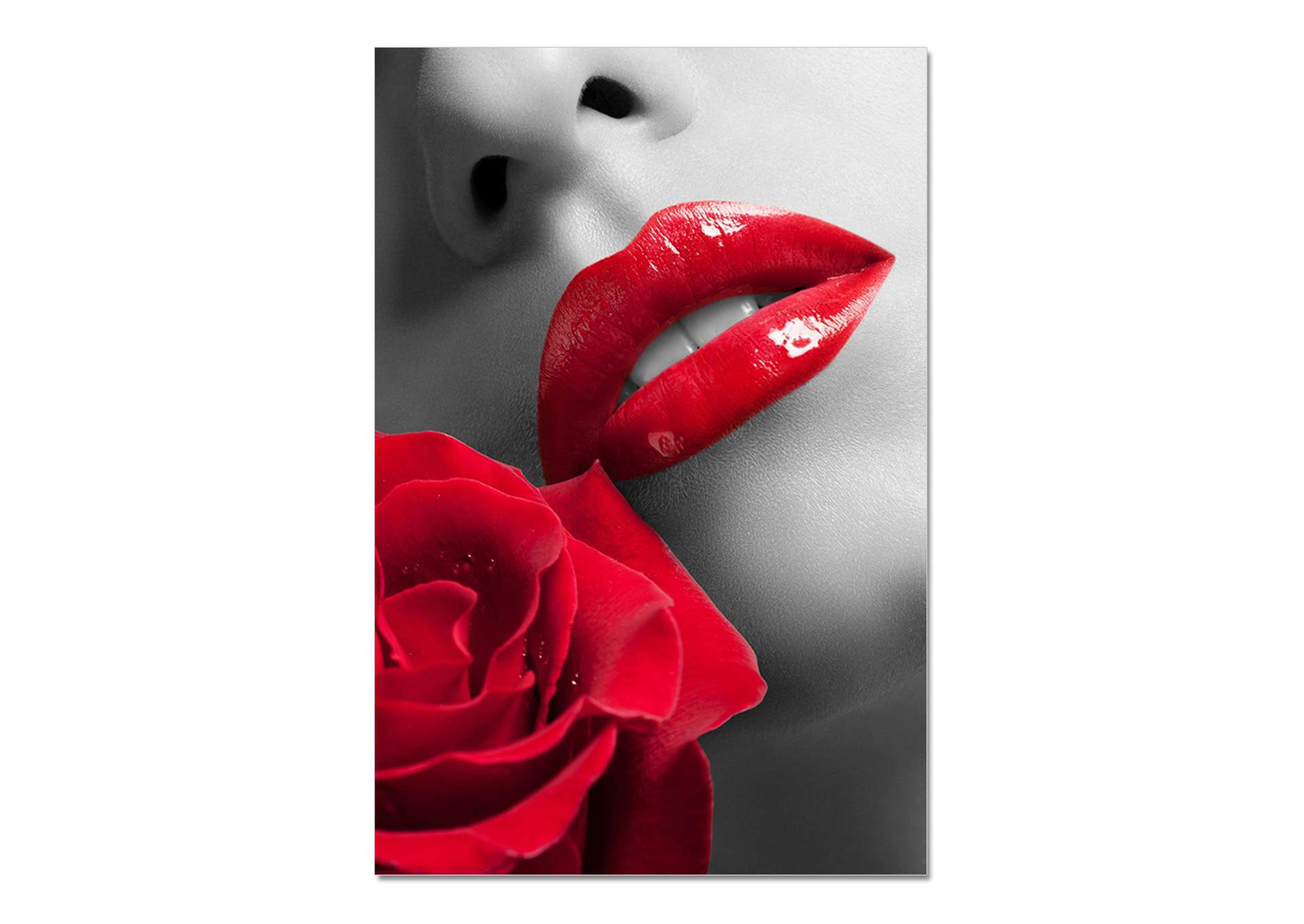 Acrylic Art Rose image 1
