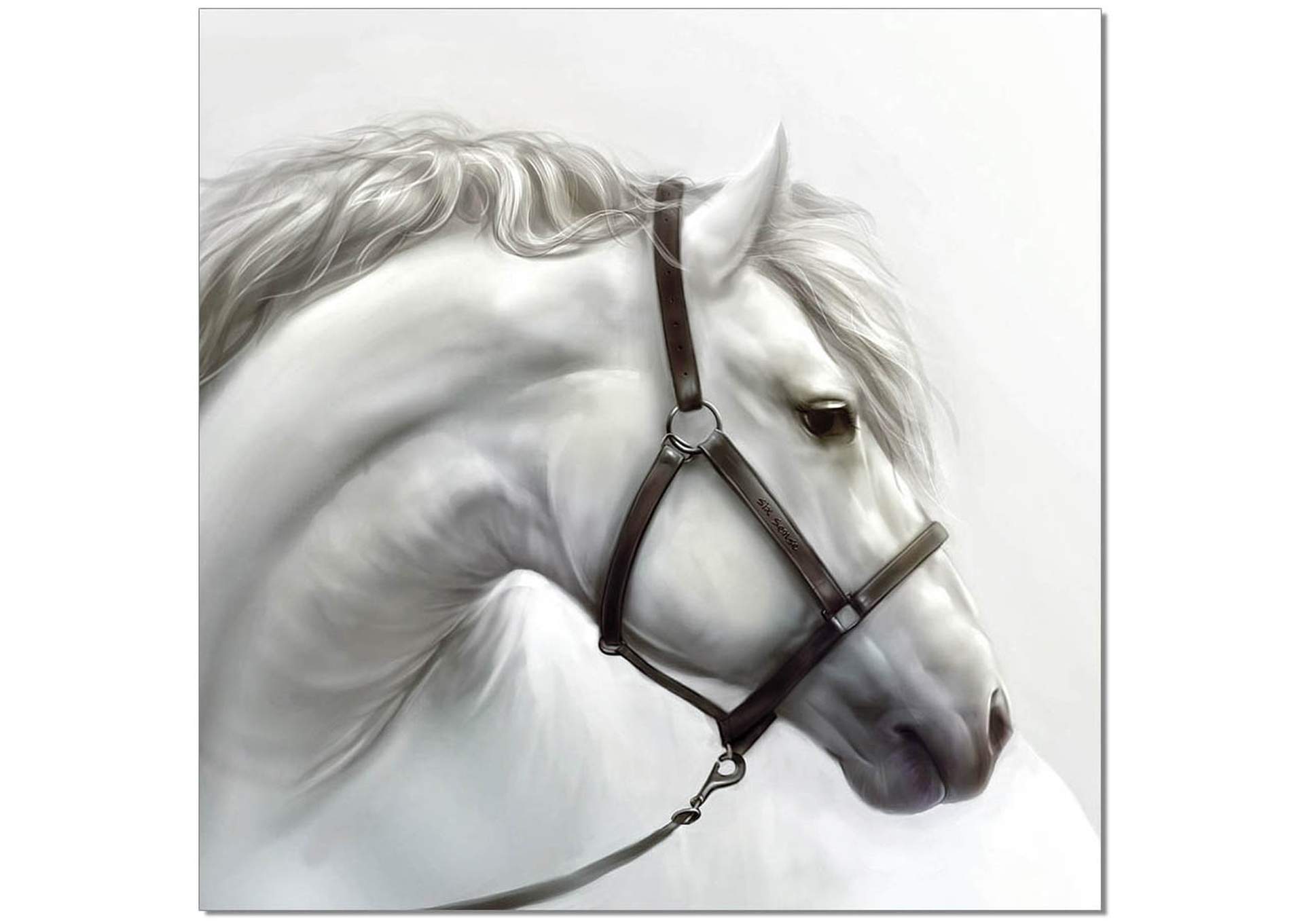 Wall Art White Horse image 1
