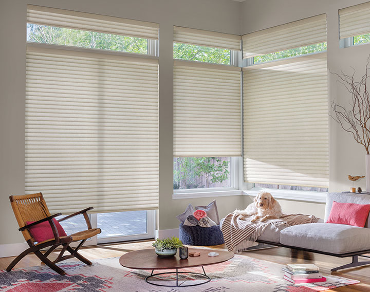 Sonnette Cellular Roller Shades