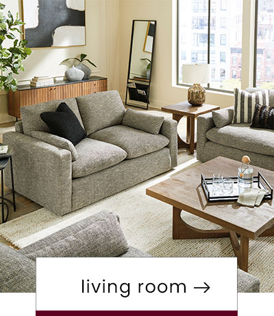 Shop Living Rooms