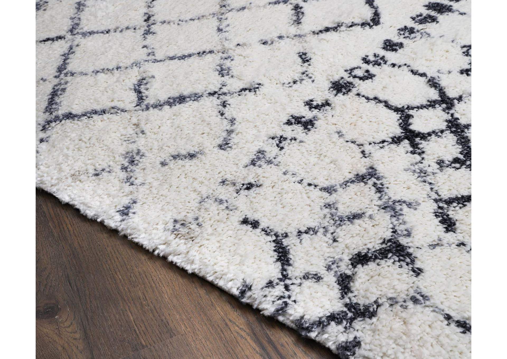DAKU COLLECTION DK04  8'1