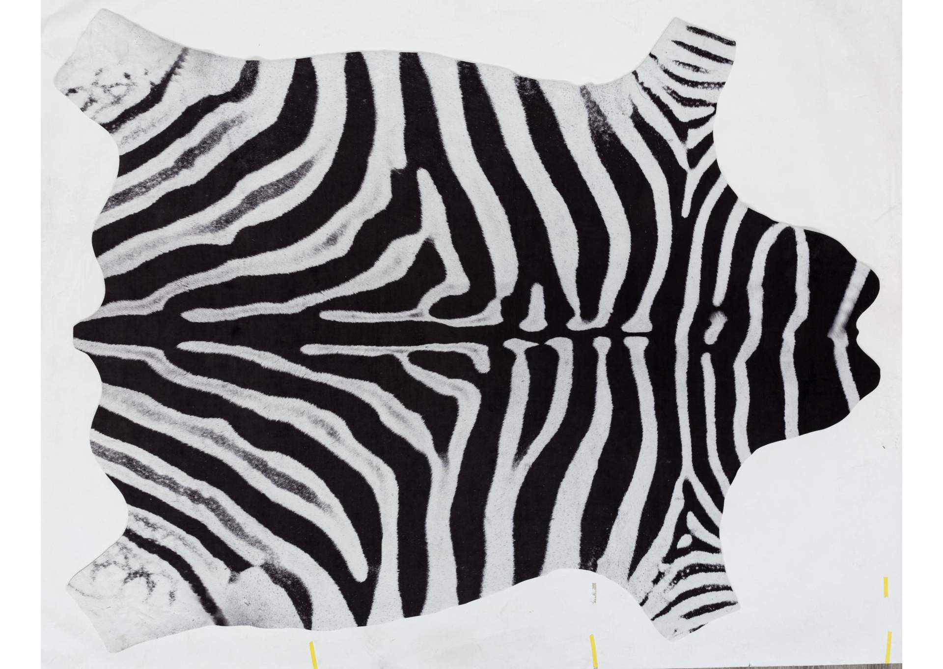 RIO COLLECTION RI09  5' X 6'6