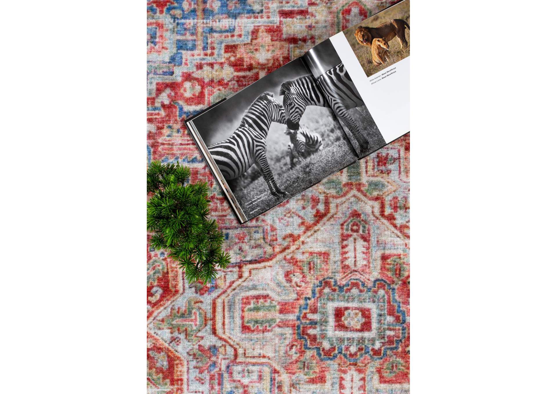 WASHABLE RUG COLLECTION WR08  8' X 11' image 3