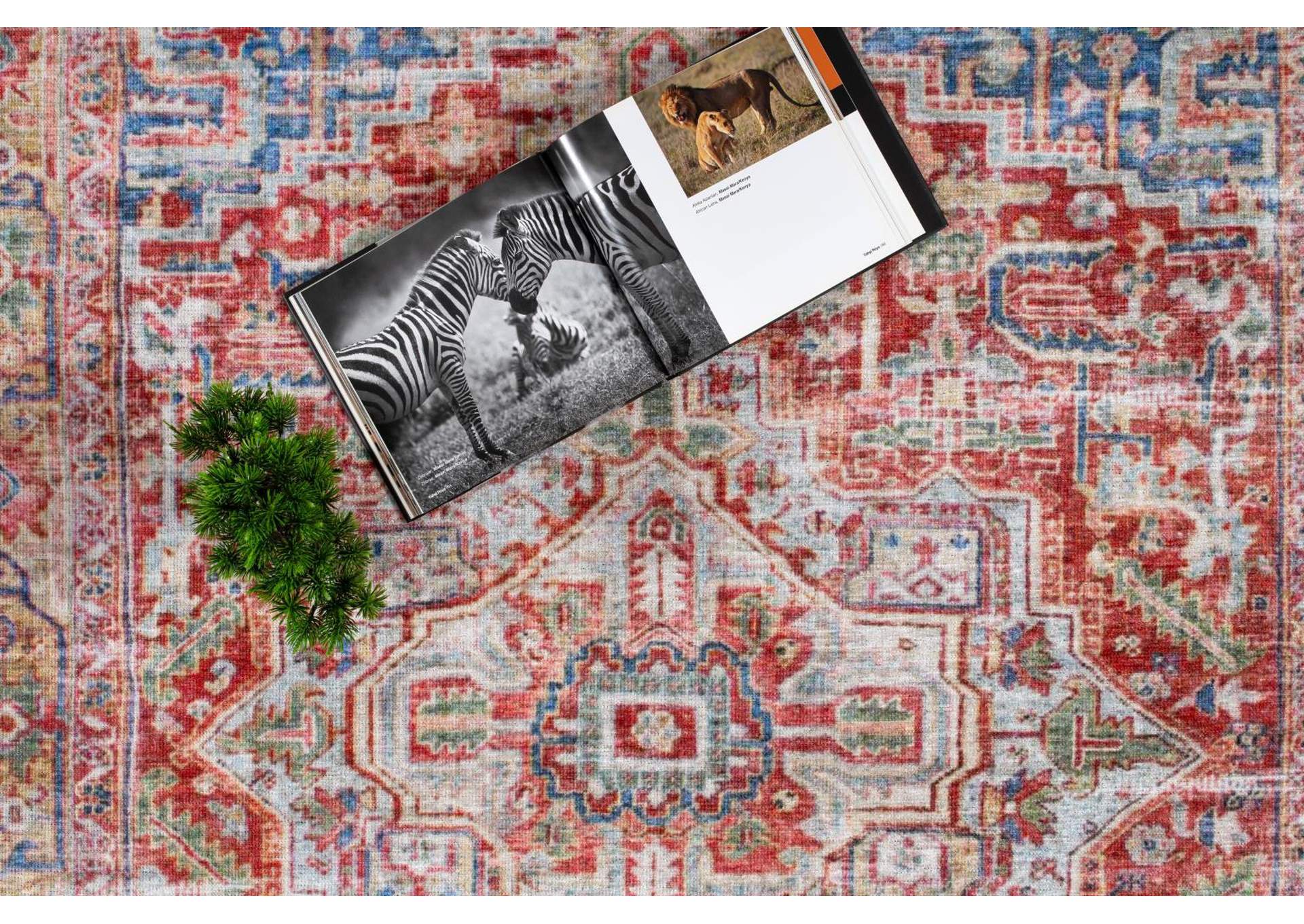 WASHABLE RUG COLLECTION WR08  8' X 11' image 5