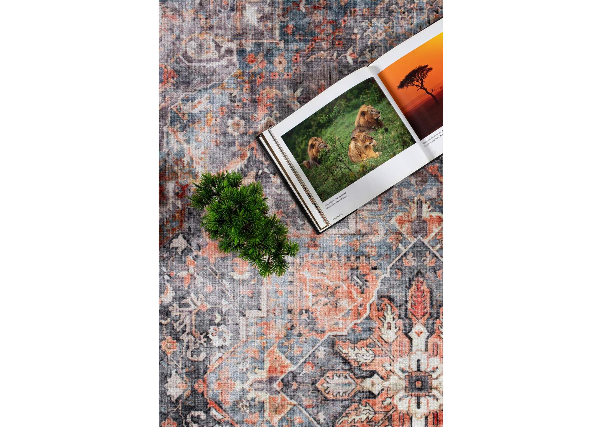 WASHABLE RUG COLLECTION WR09  8' X 11' image 3