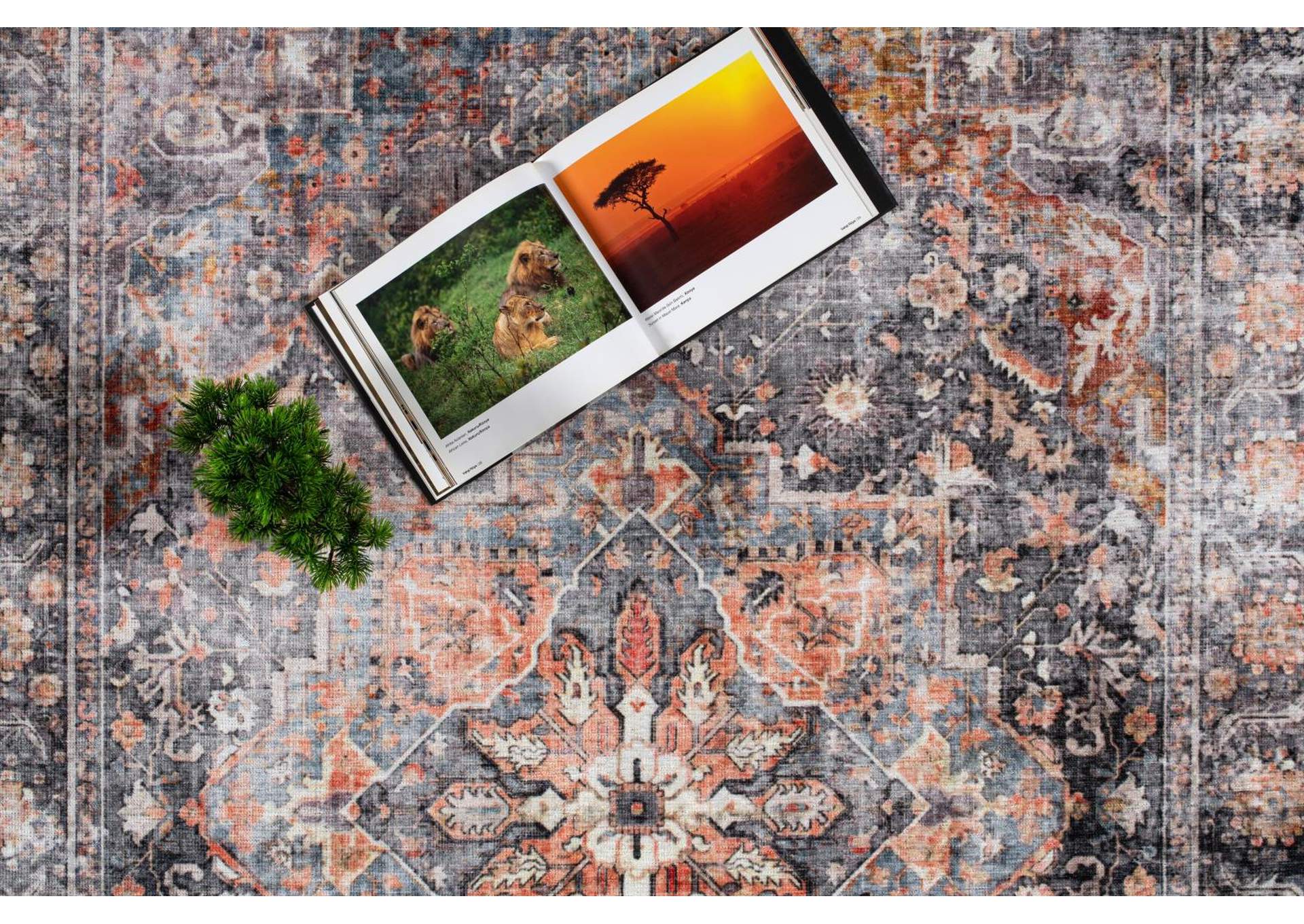 WASHABLE RUG COLLECTION WR09  8' X 11' image 5