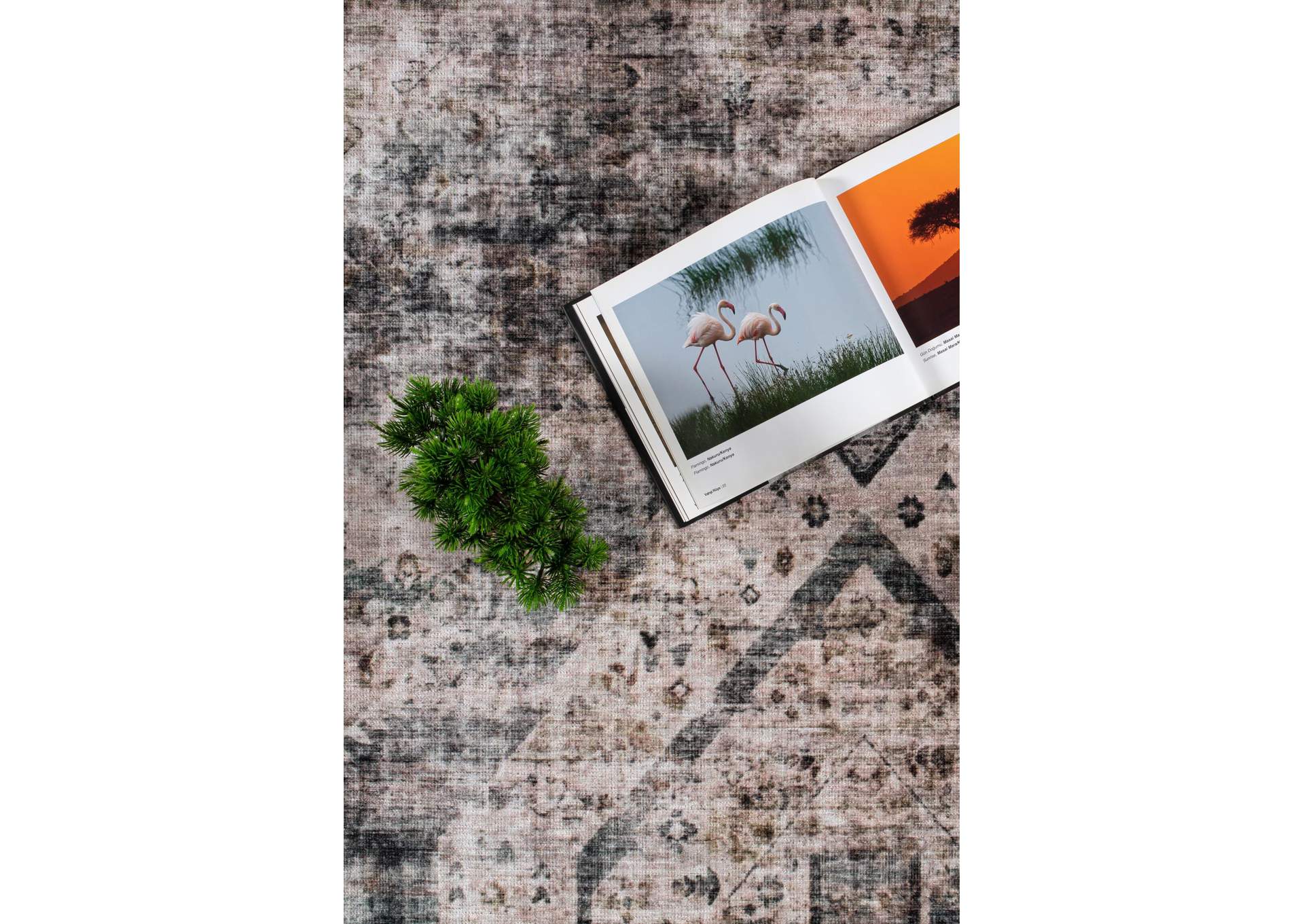 WASHABLE RUG COLLECTION WR10  8' X 11' image 3