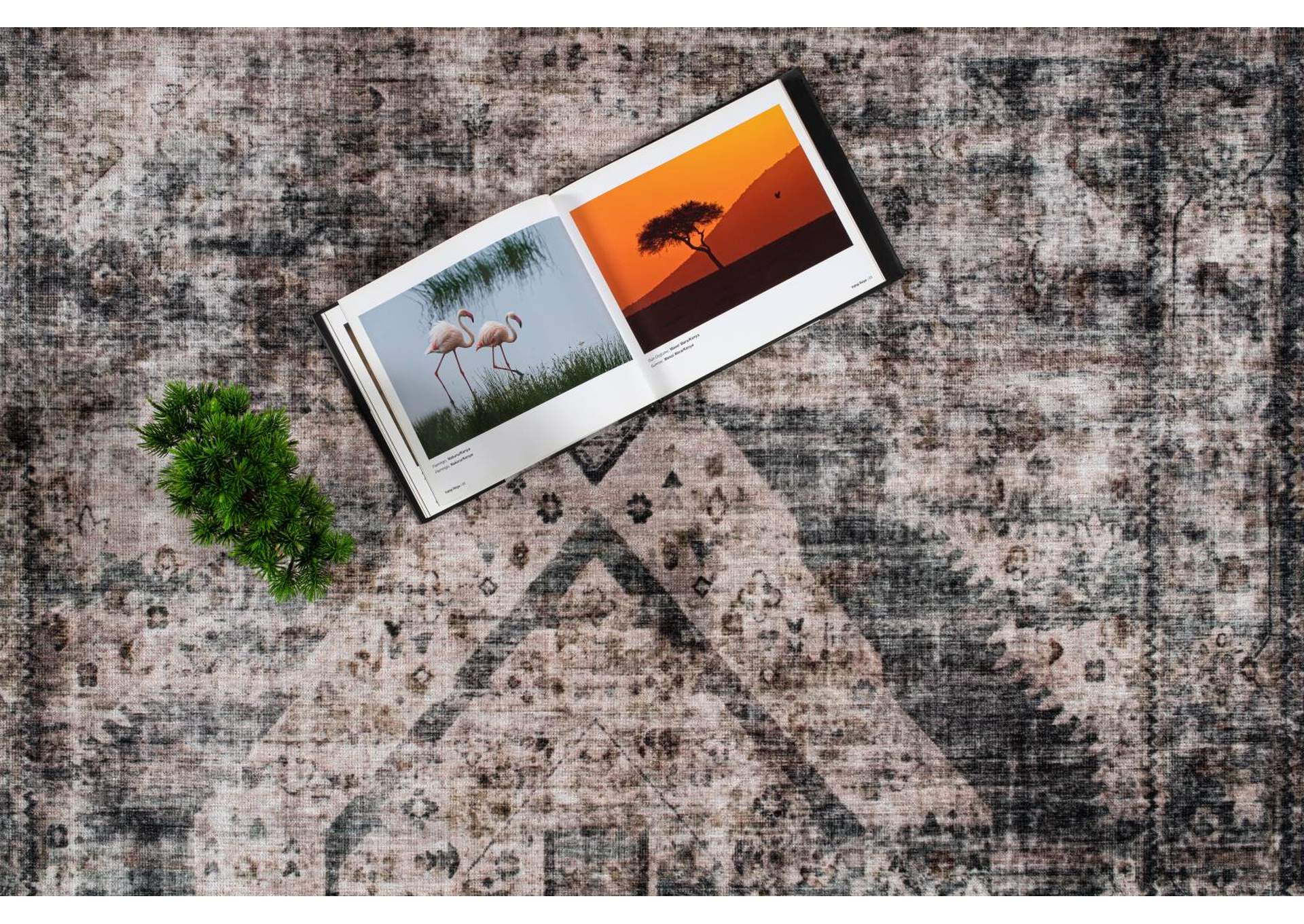WASHABLE RUG COLLECTION WR10  8' X 11' image 5
