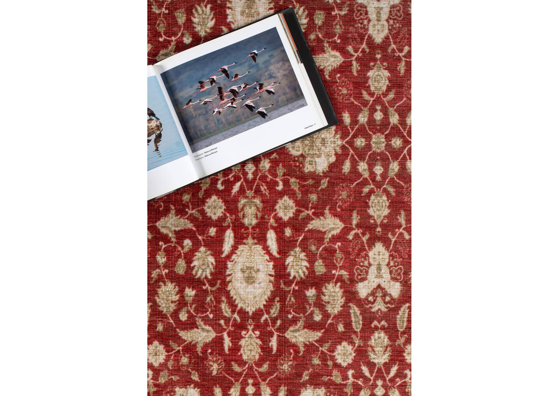 WASHABLE RUG COLLECTION WR11  8' X 11' image 5