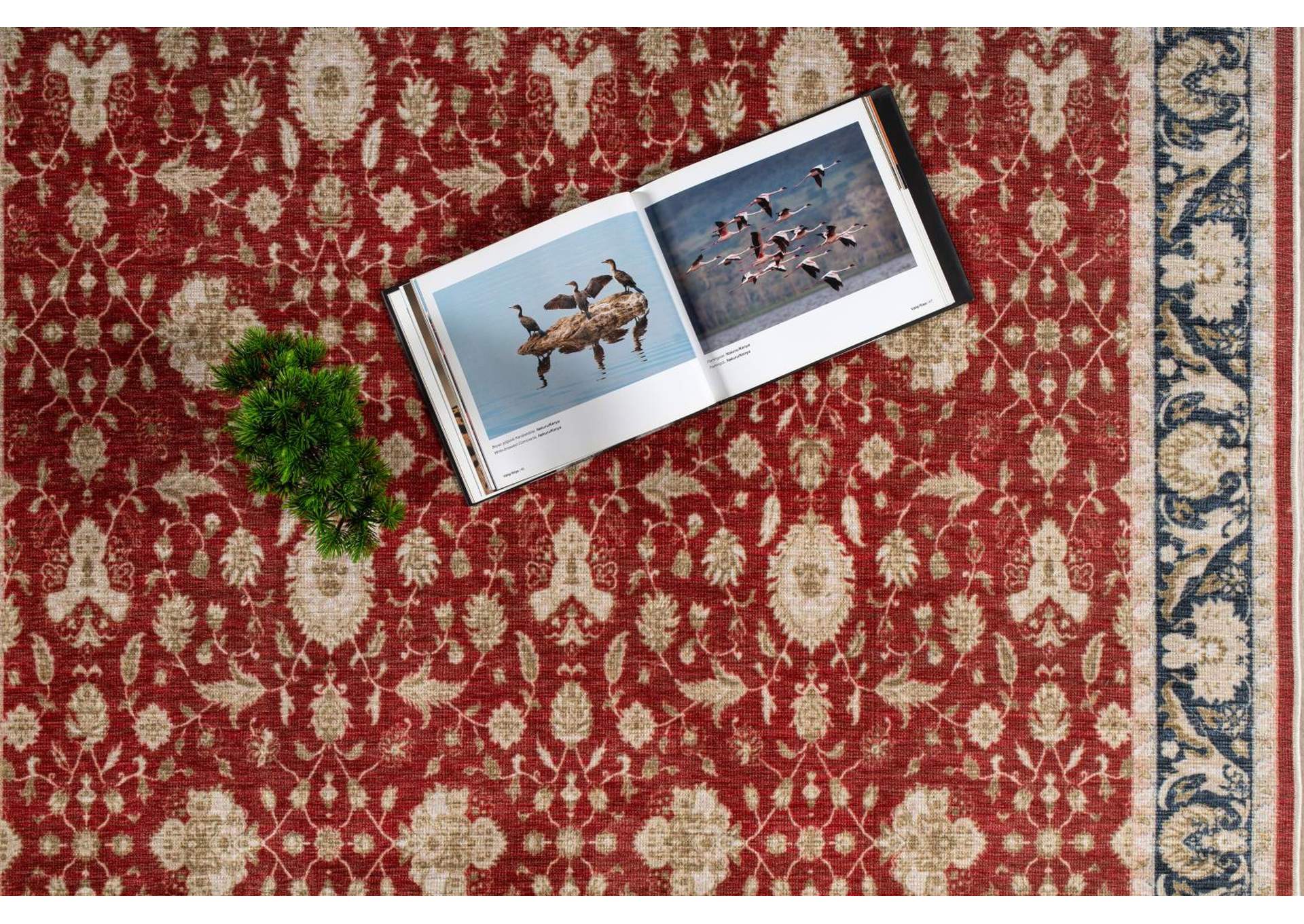 WASHABLE RUG COLLECTION WR11  8' X 11' image 6