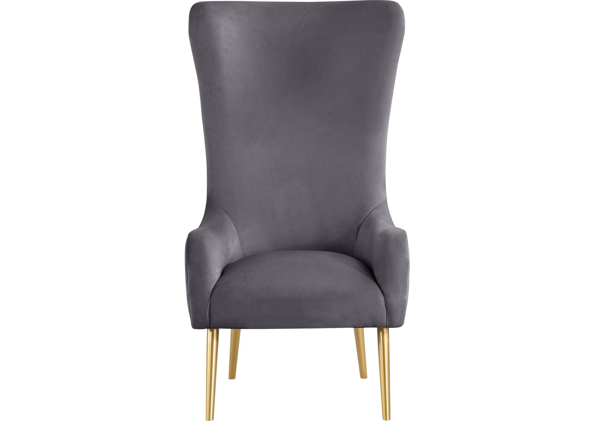 Alexander Grey Velvet Accent Chair