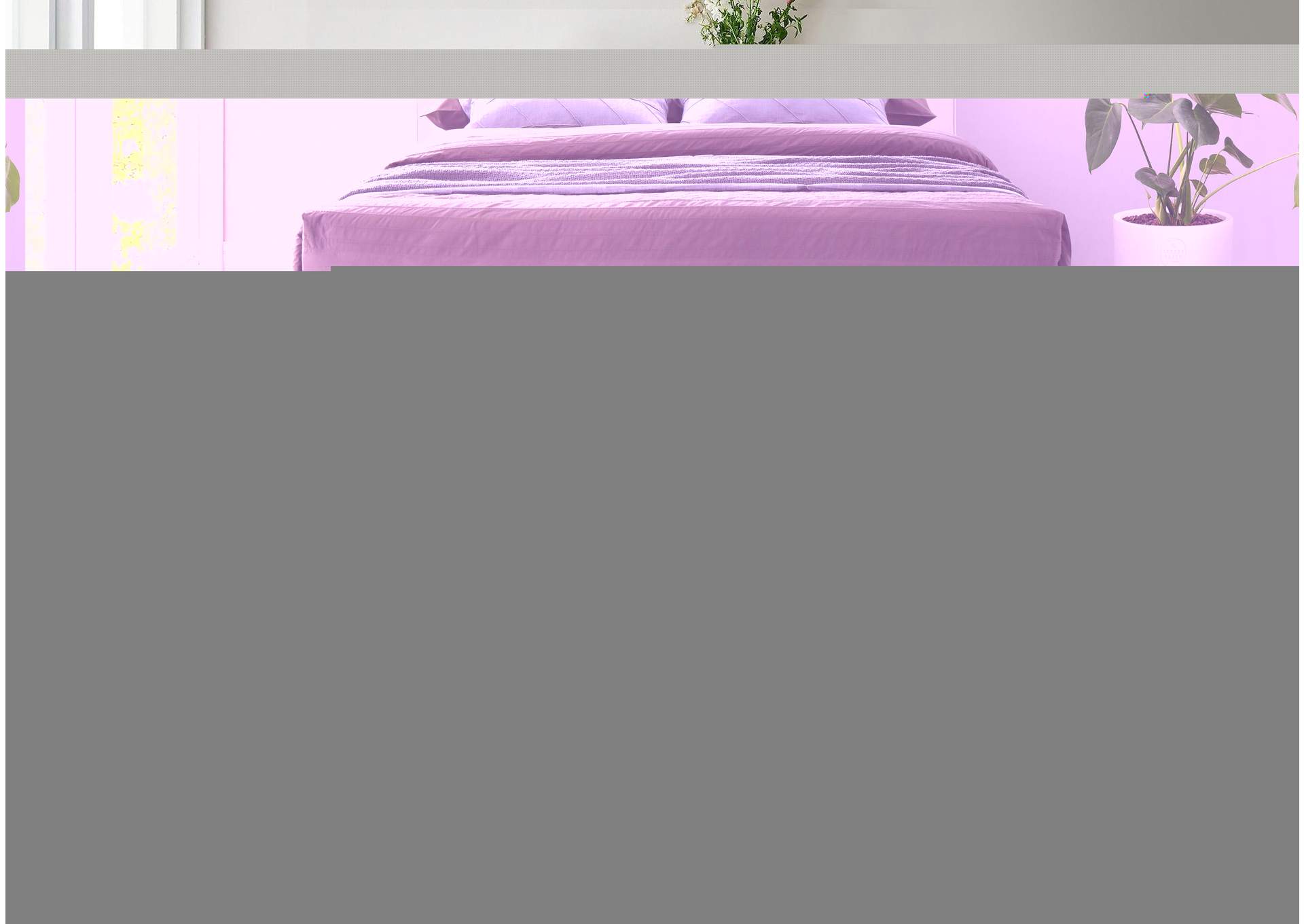 Geri Cream Velvet King Bed