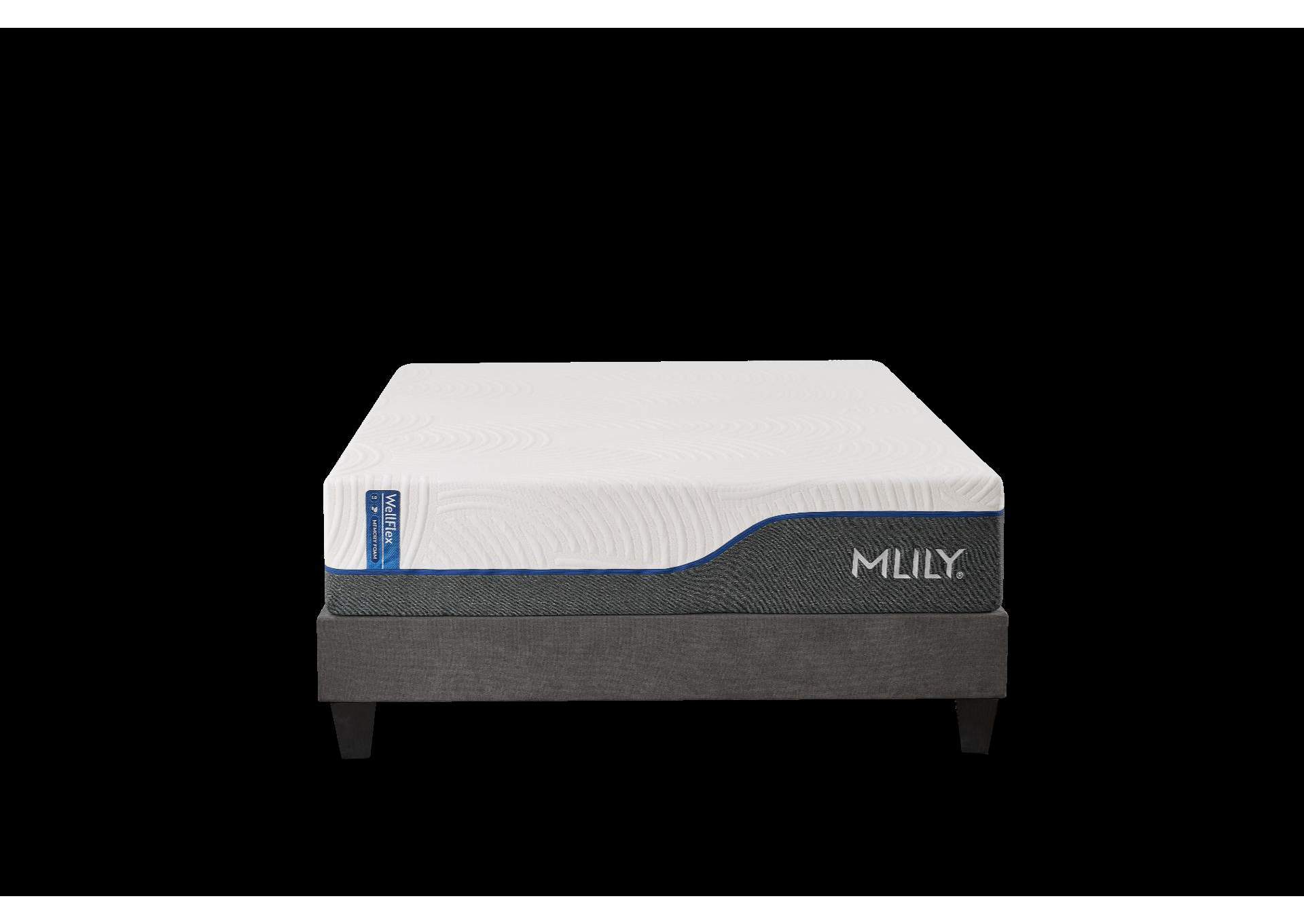 Wellflex 1.0 12" Firm Full Mattress image 1